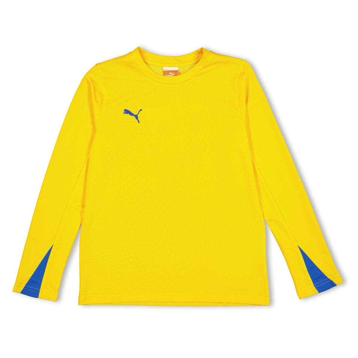 Puma Kids Team Long Sleeve Performance Gym Top