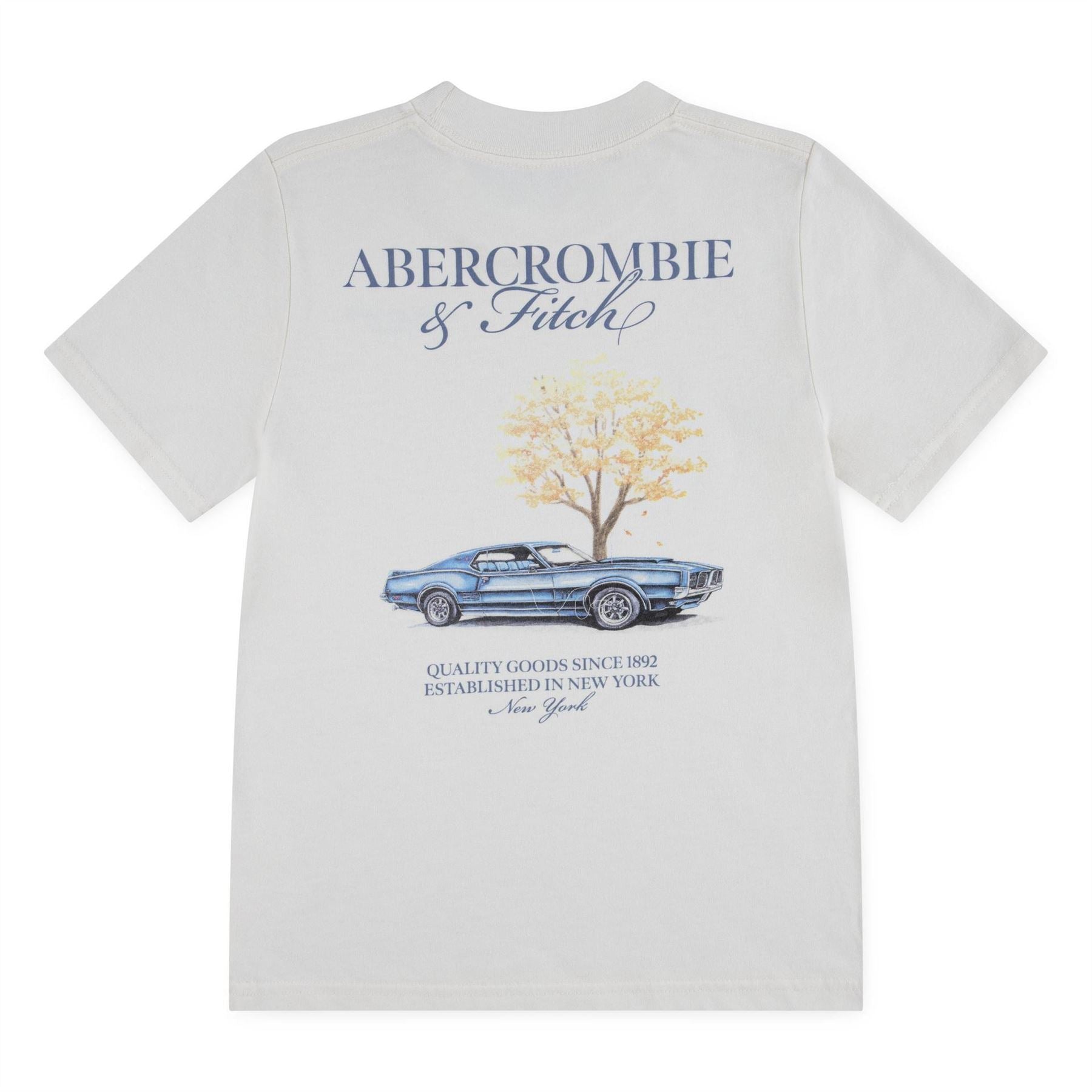 Abercrombie and Fitch And F Auto Tee Jn62
