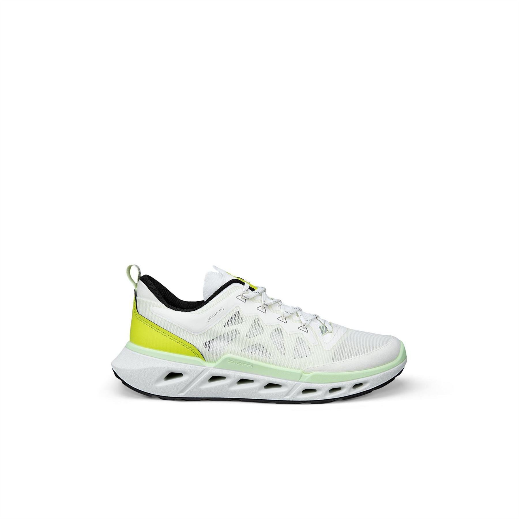 Ecco Biom 720 Sn62
