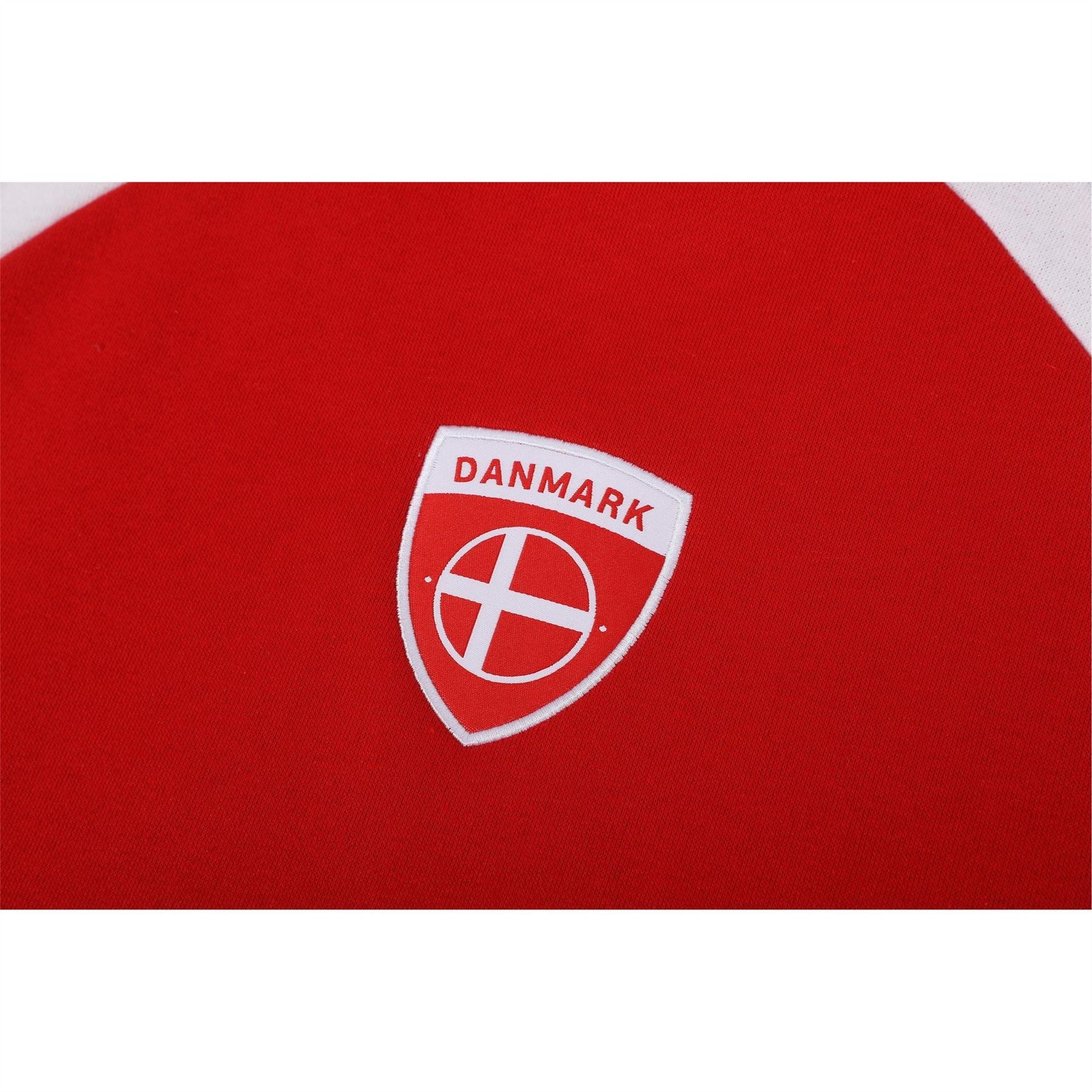 UEFA Denmark Hoody Juniors