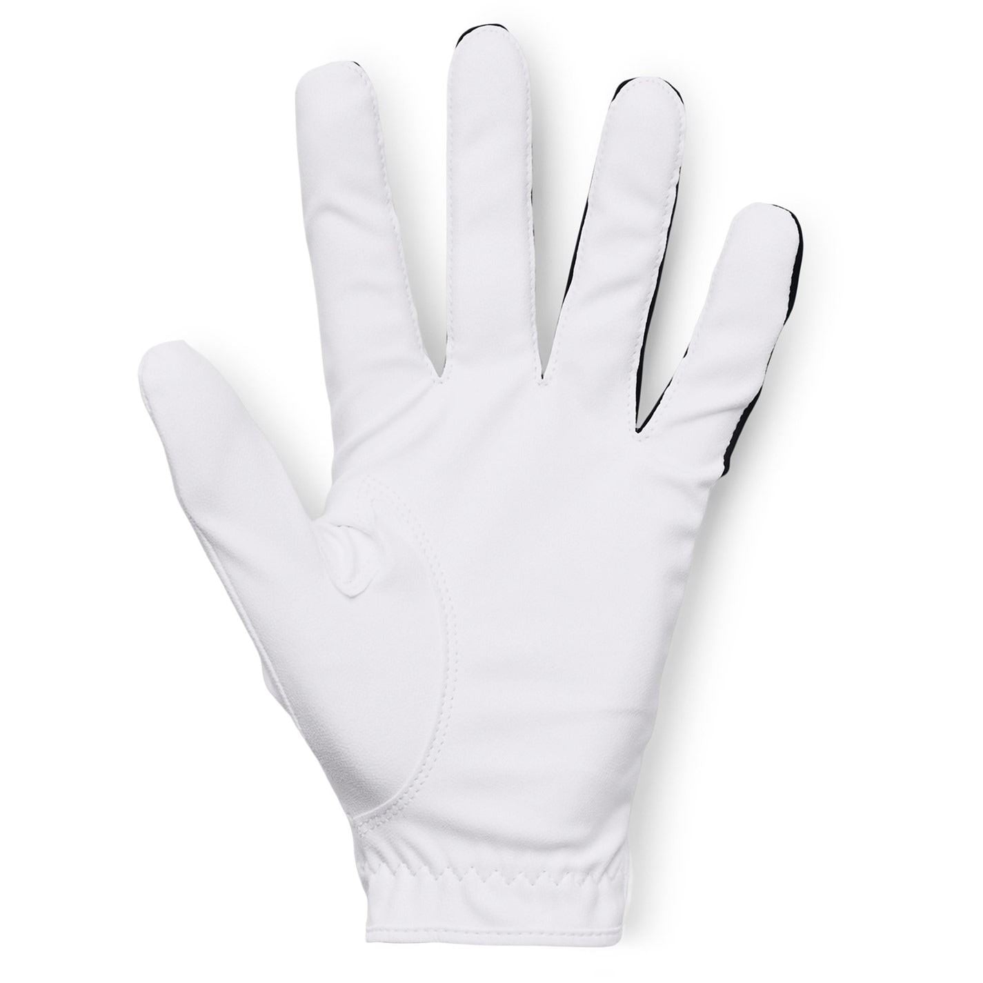 Under Armour Armour Ua Iso Chill Golf Glove Mens
