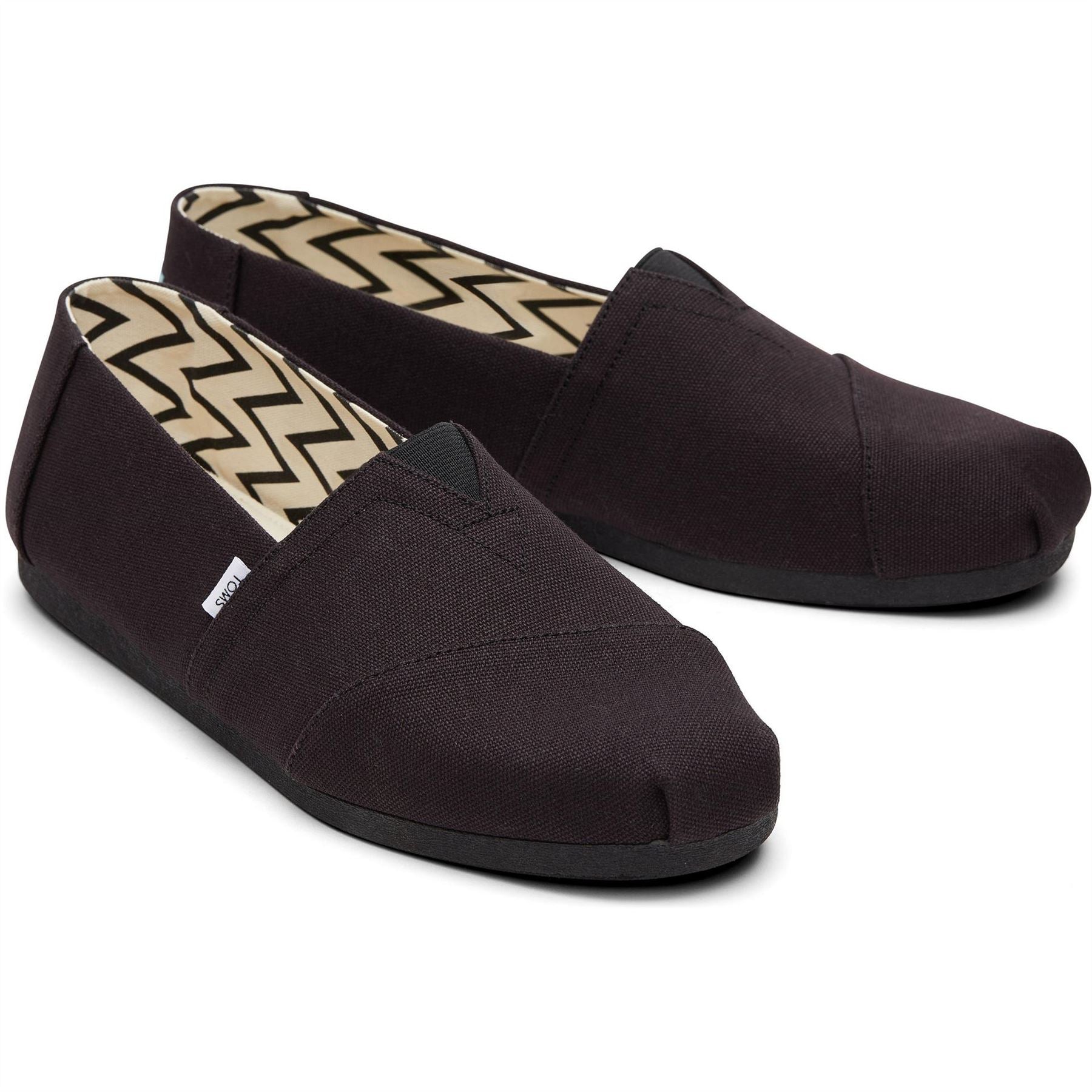 Toms Canvasas Shoes