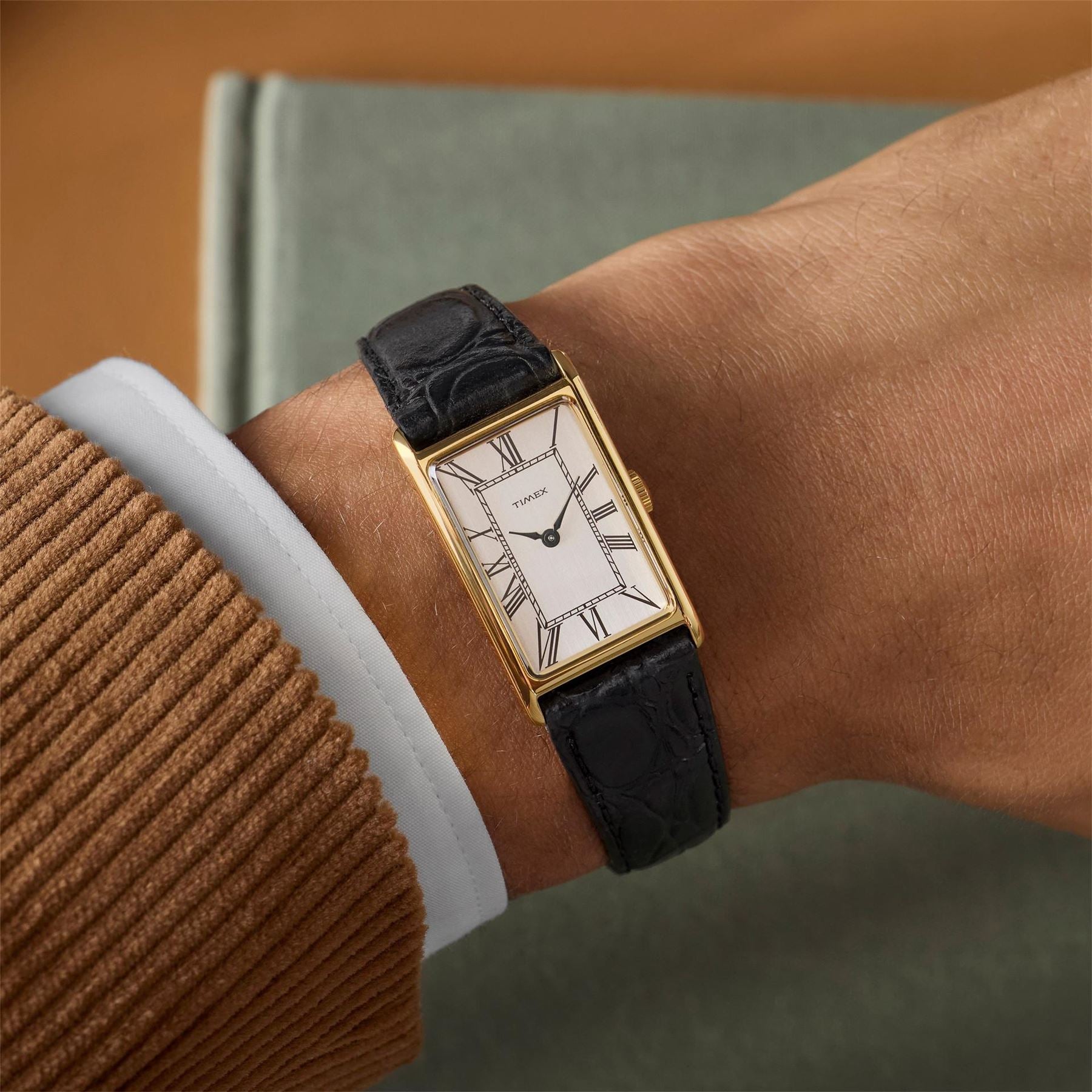 Timex Lab Quartz Analogue Watch