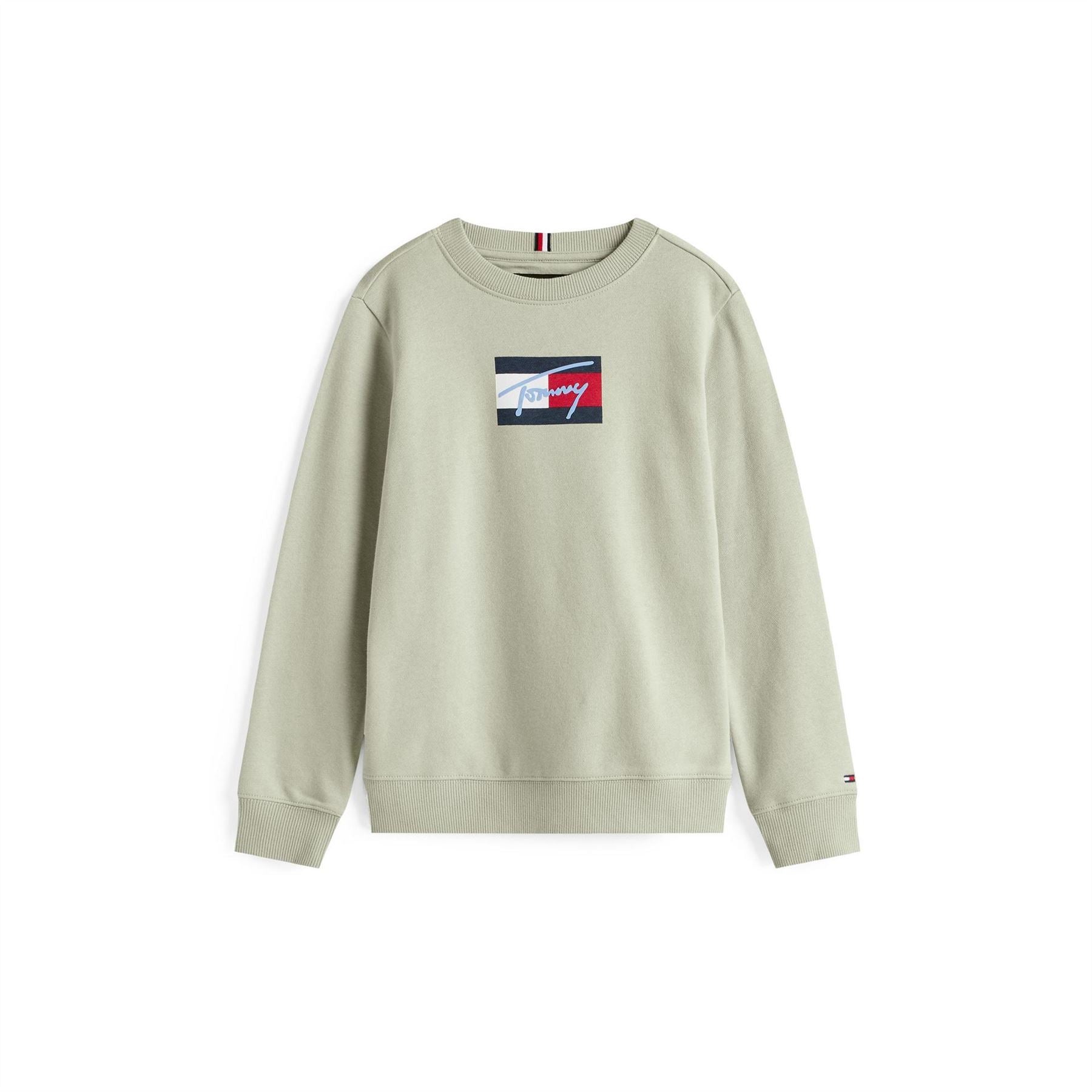Tommy Hilfiger Regular Fit Crew Neck Sweatshirt