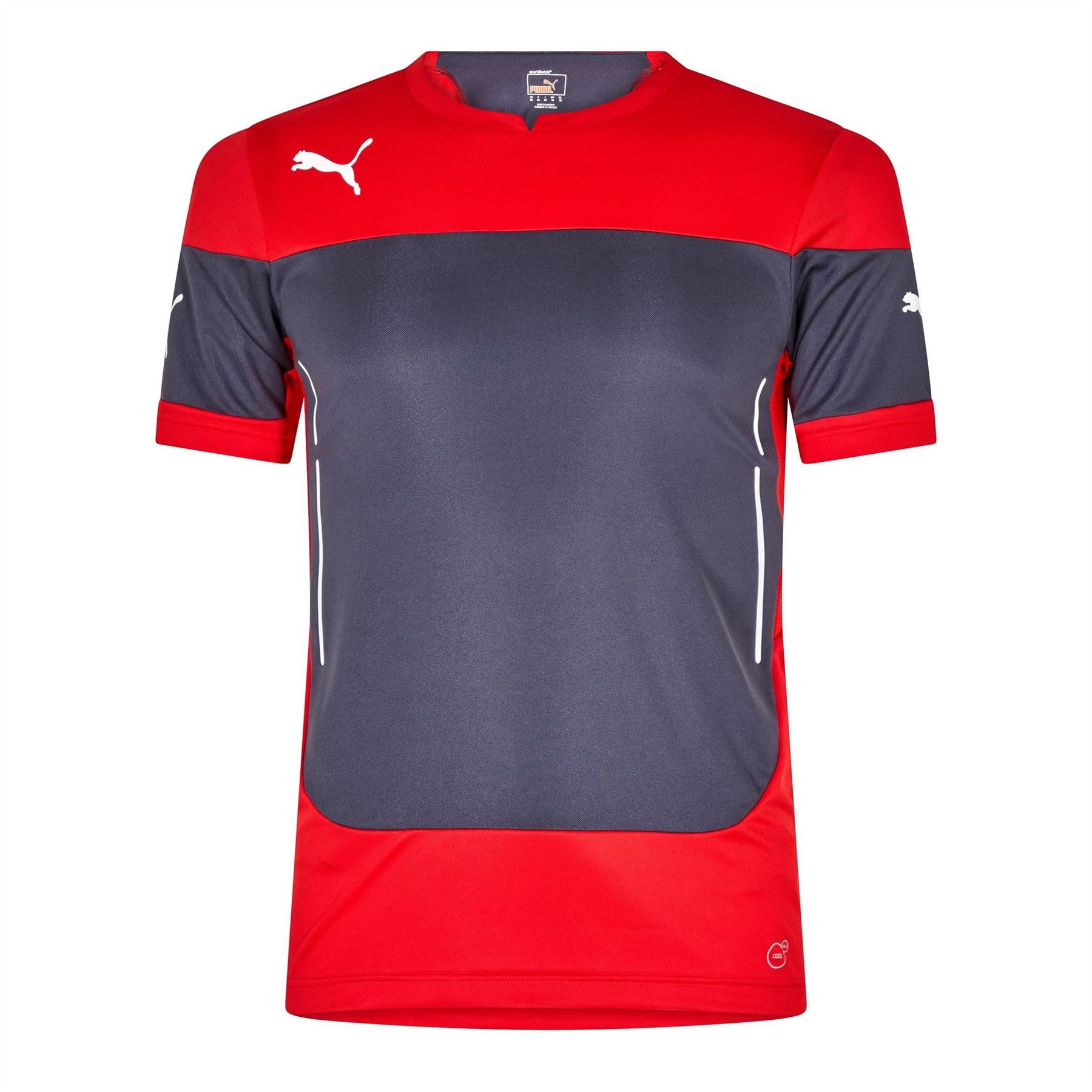 Puma Mens Indomitable Training S S Tee