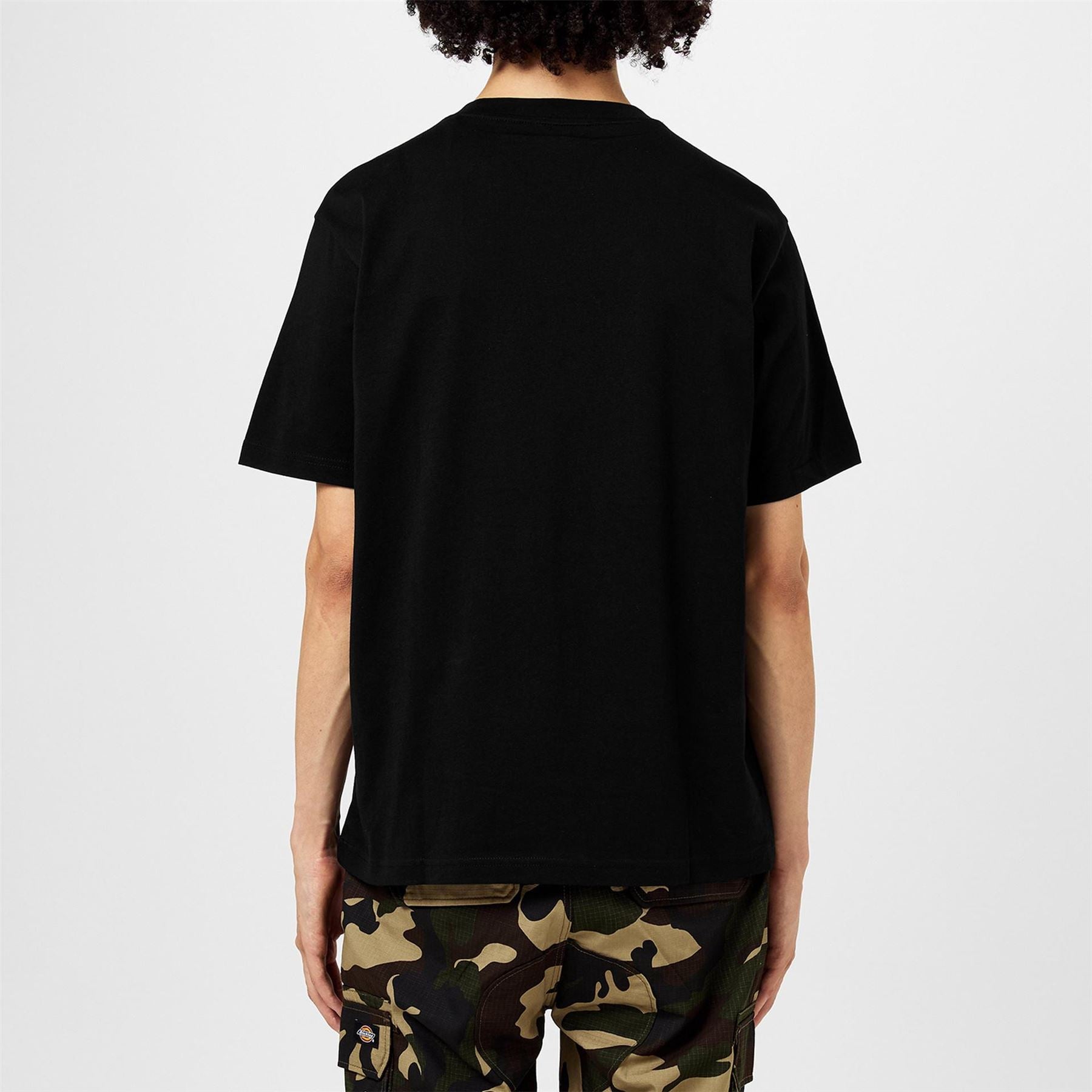 Dickies Regular Fit Mapleton T-Shirt