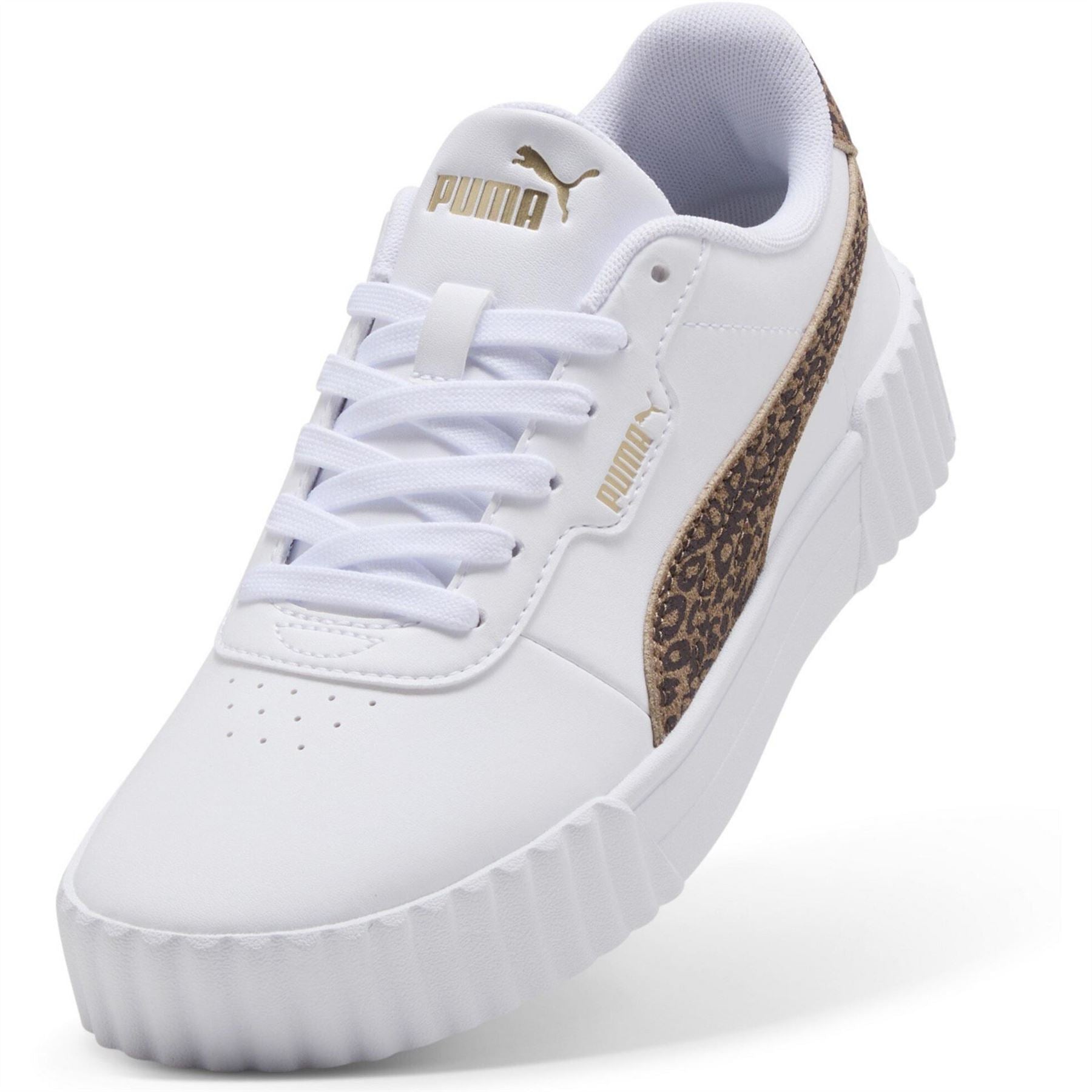 Puma Carina 3.0 Ld63