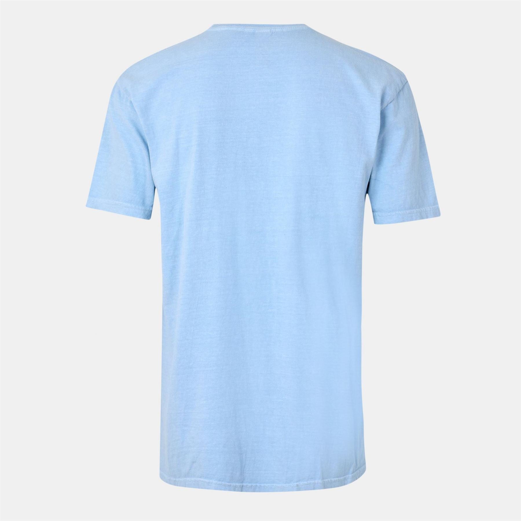 Official Oasis Lettering Regular Fit T-Shirt