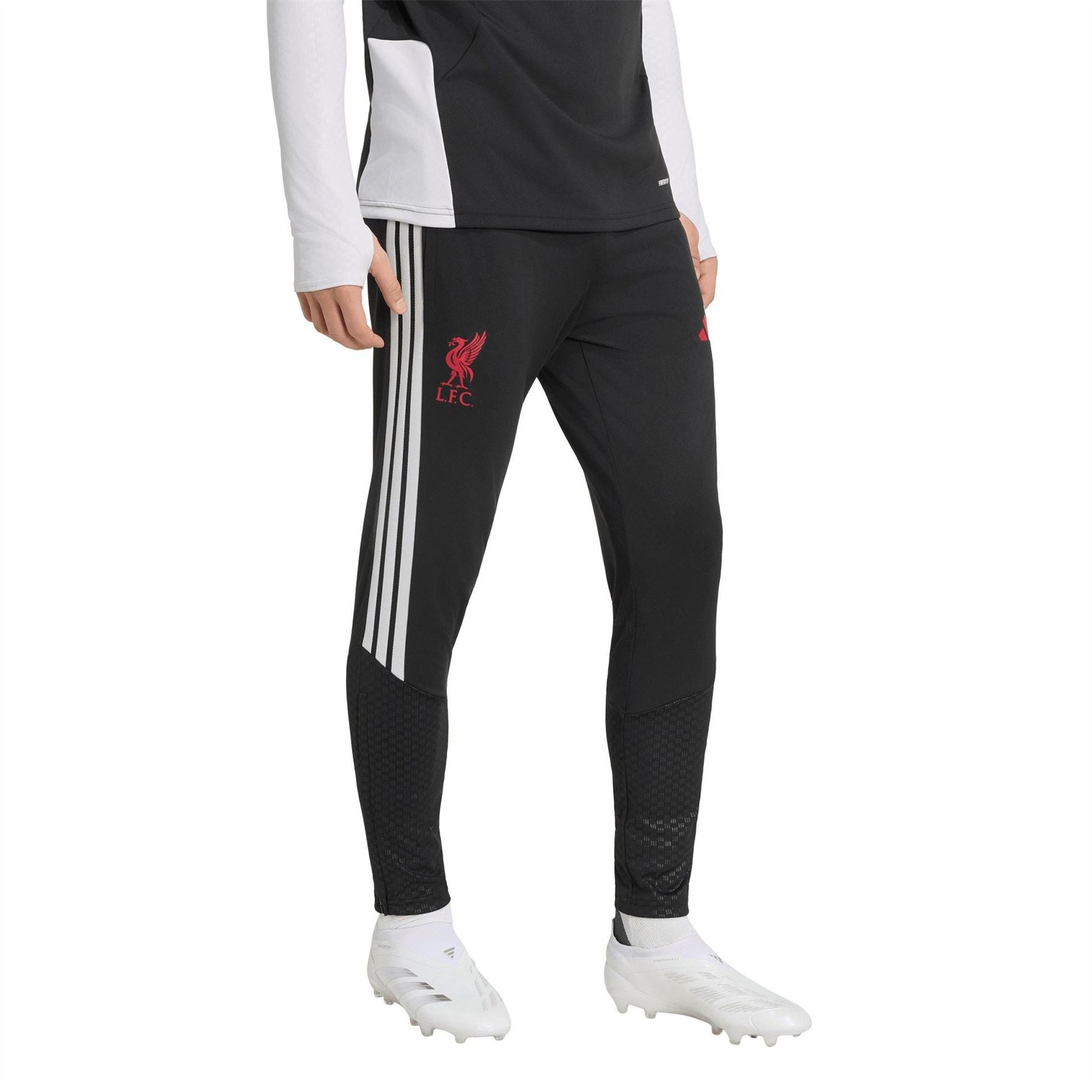 adidas Mens Training Pant 2026 27