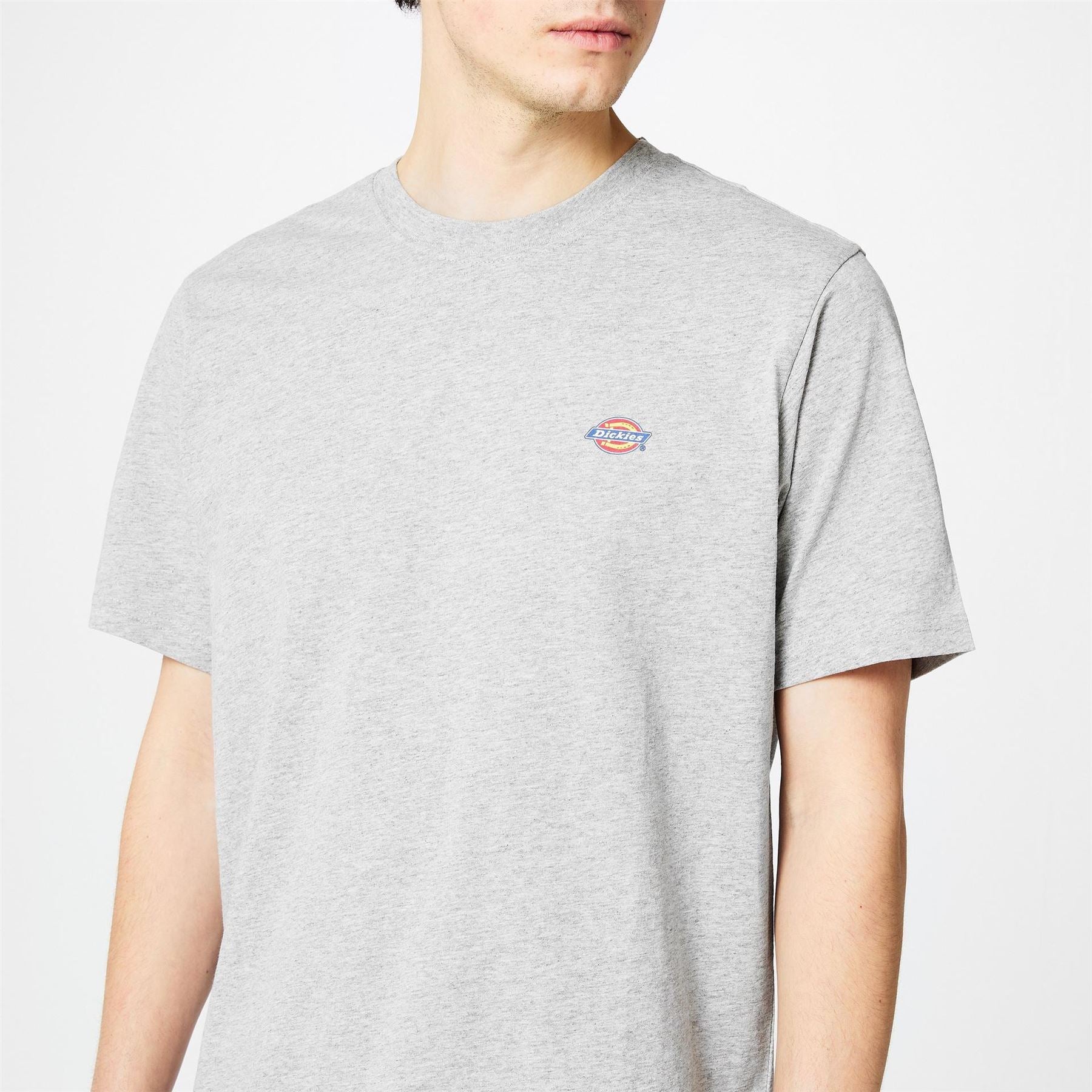 Dickies Regular Fit Mapleton T-Shirt