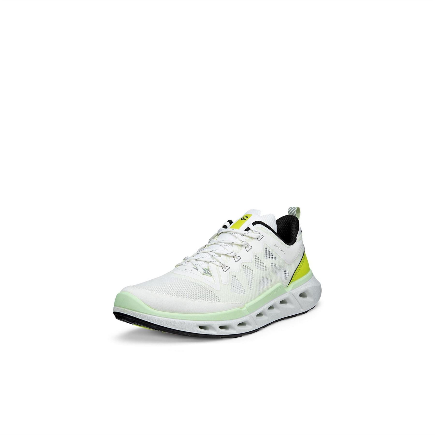 Ecco Biom 720 Sn62