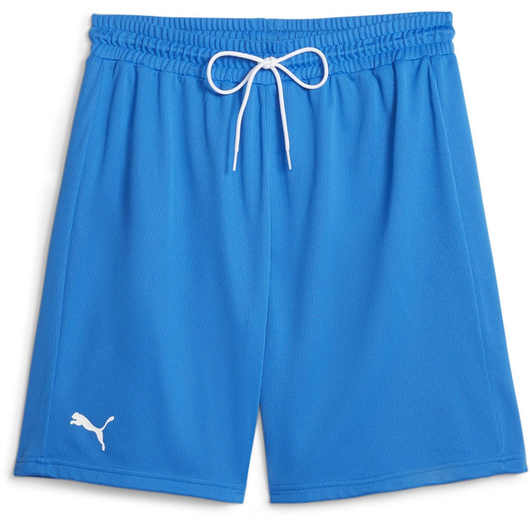 Puma Hoops Team Practice Basketball Shorts