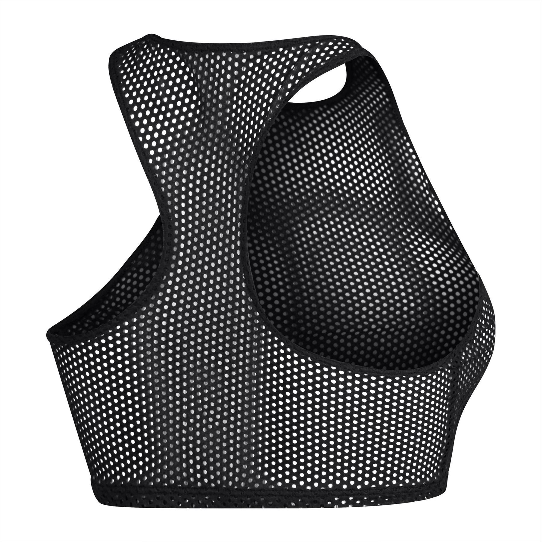 Speedo Mesh Crop Top Bikini
