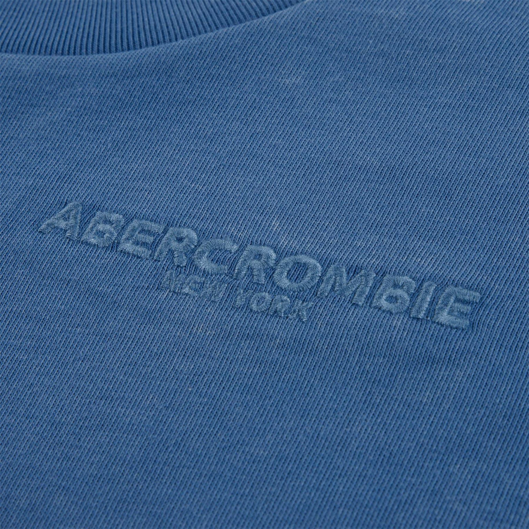 Abercrombie and Fitch T-Shirt