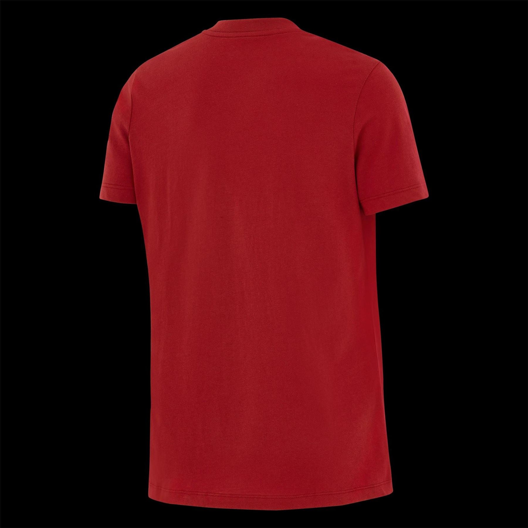 Nike British And Irish Lions Short Sleeve Performance T-Shirt