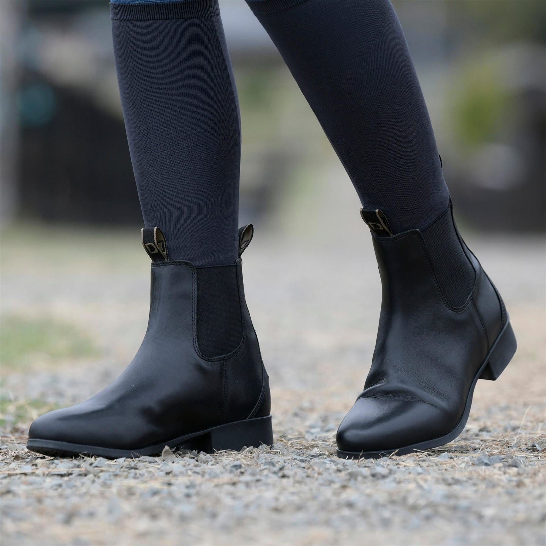 Dublin Foundation Jodhpur Boots ii