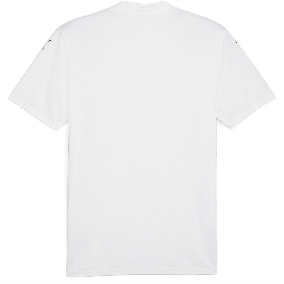 Puma Mens Teamglory Jersey T-Shirt