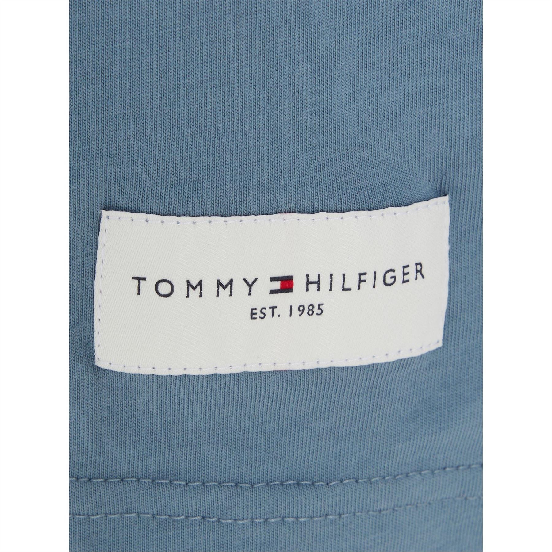 Tommy Hilfiger Sleeve T Logo