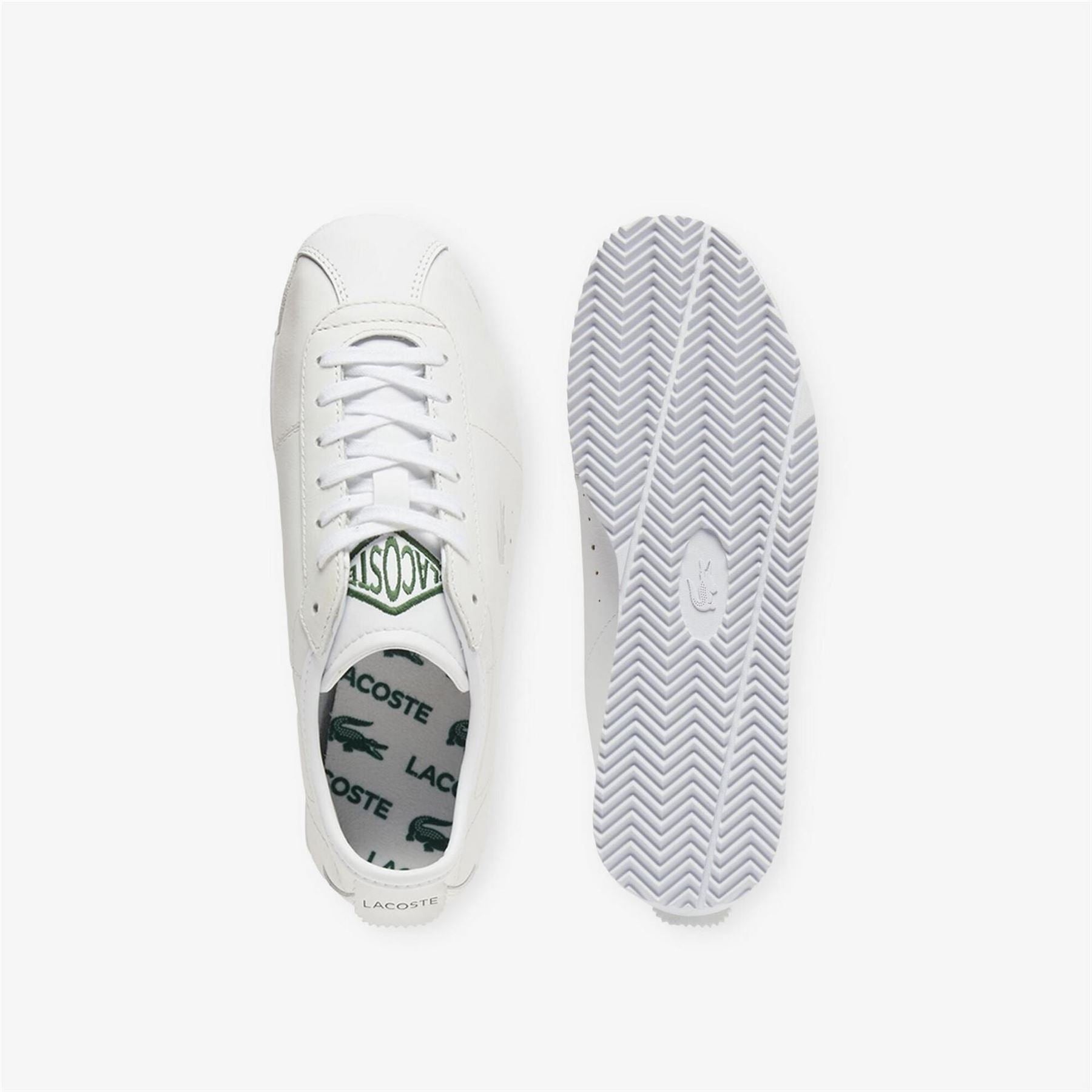 Lacoste Low Trainers
