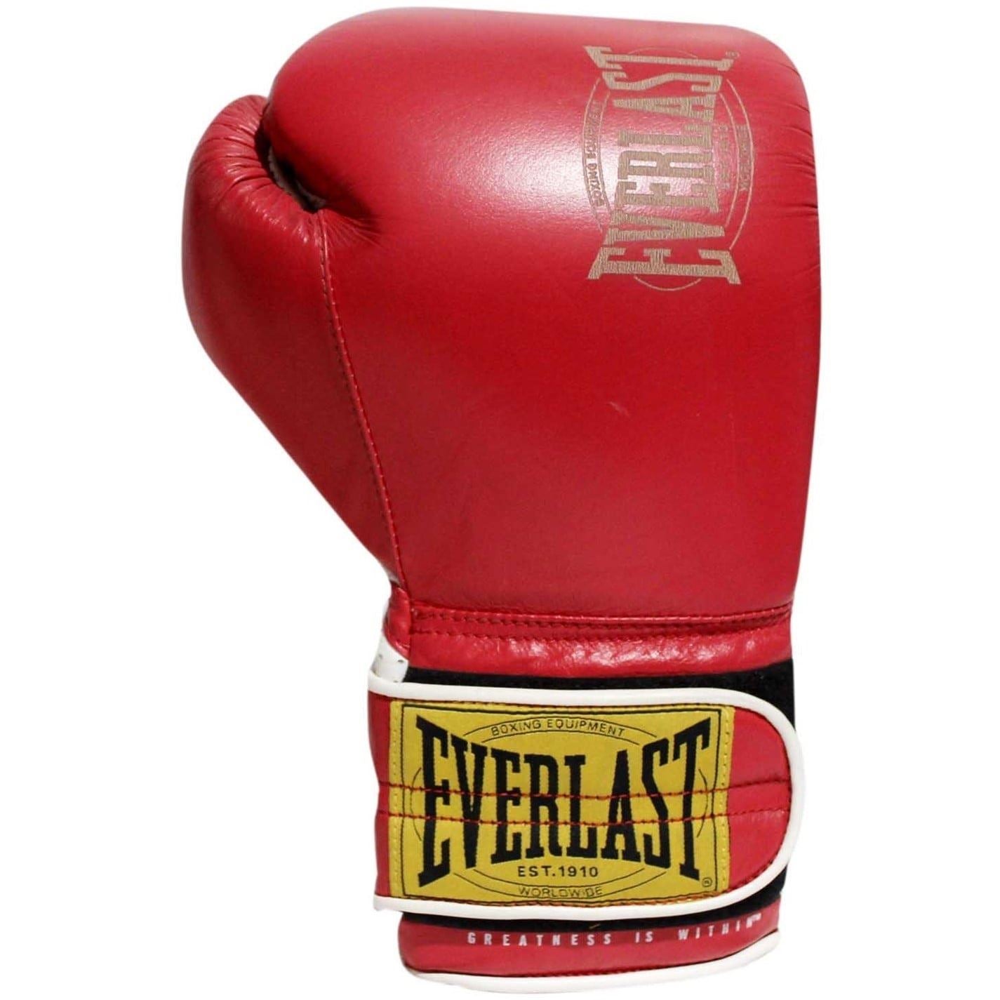 Everlast 1910 Sparring Glove