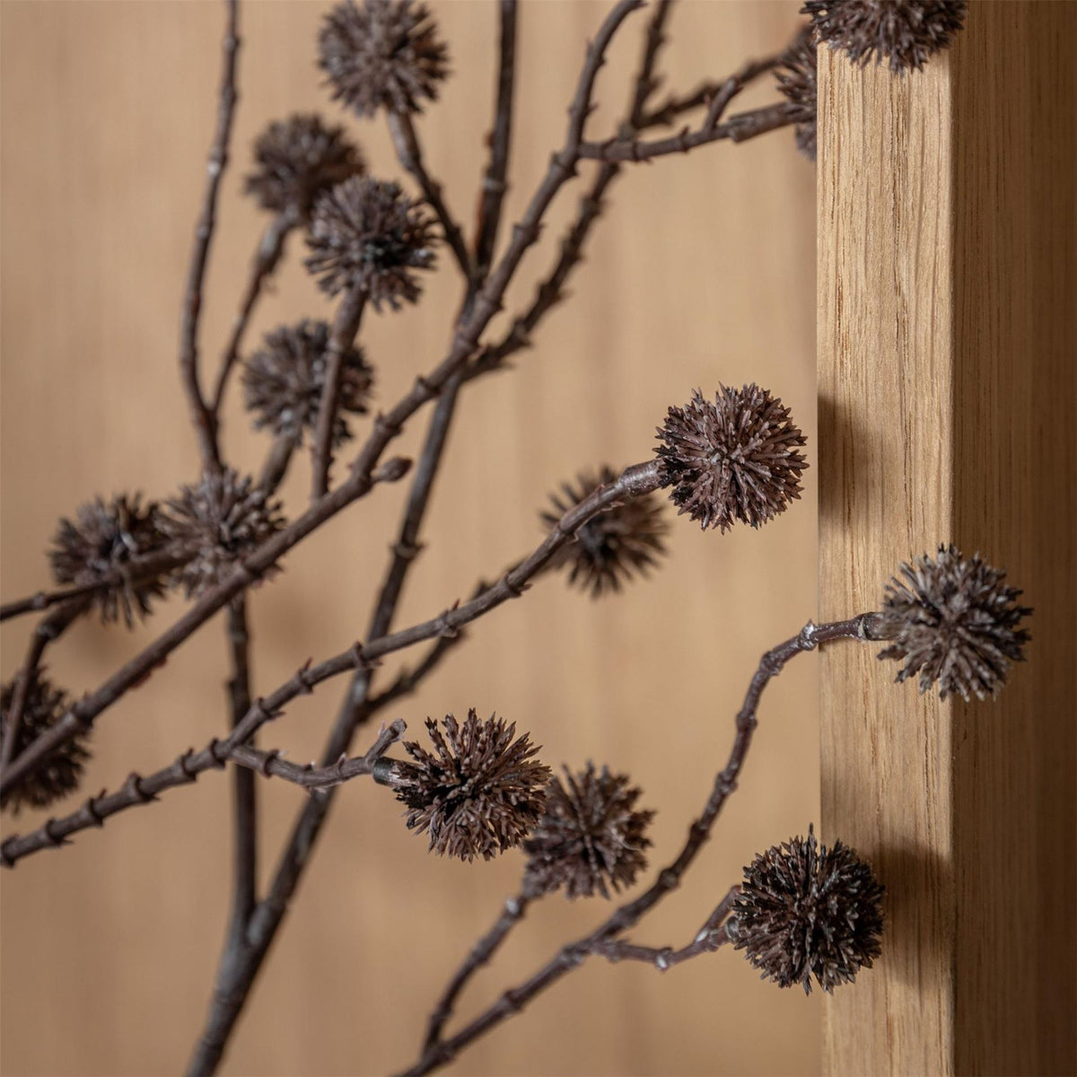 Gallery 5 Pk Rustic Be 64
