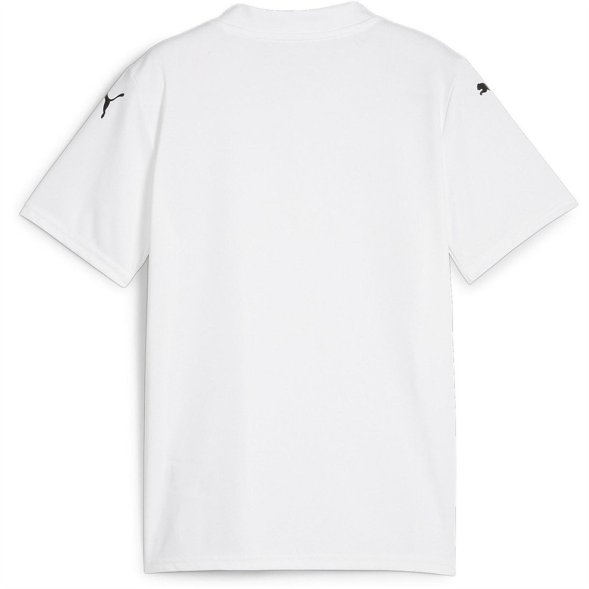 Puma Teamglory Jersey Jr T-Shirt Unisex Kids