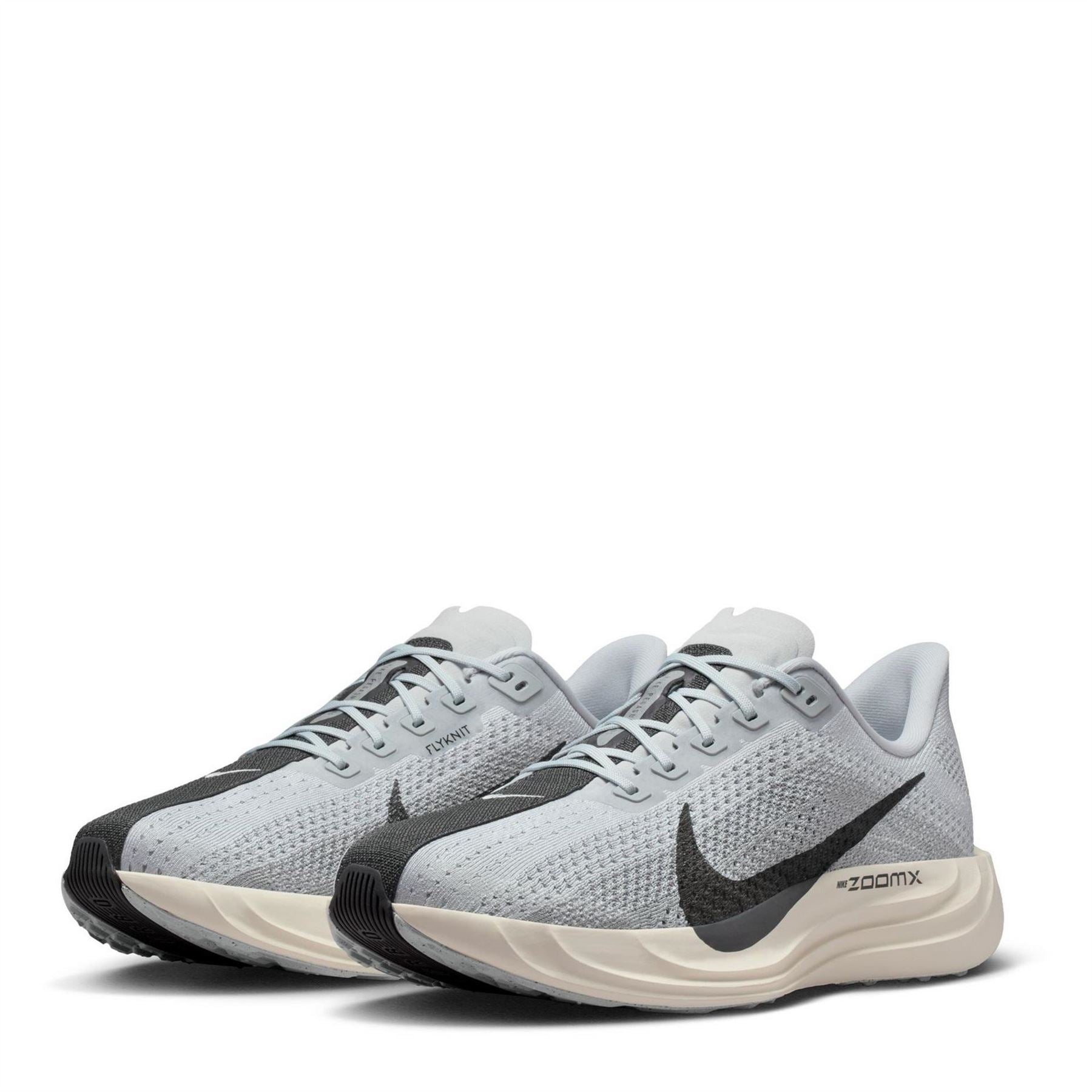 Nike Mens Pegasus Plus Trainers
