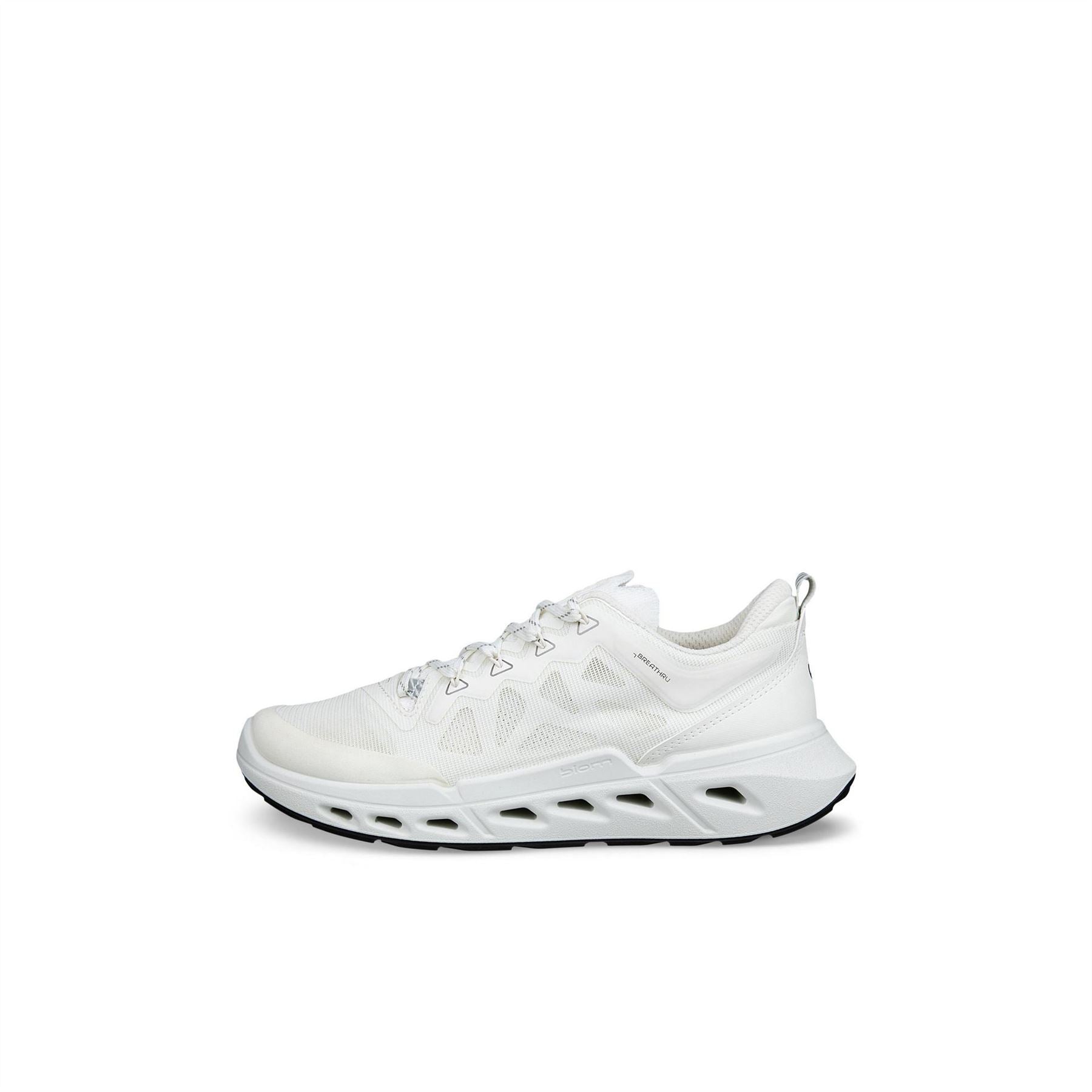 Ecco Biom 720 Ld62