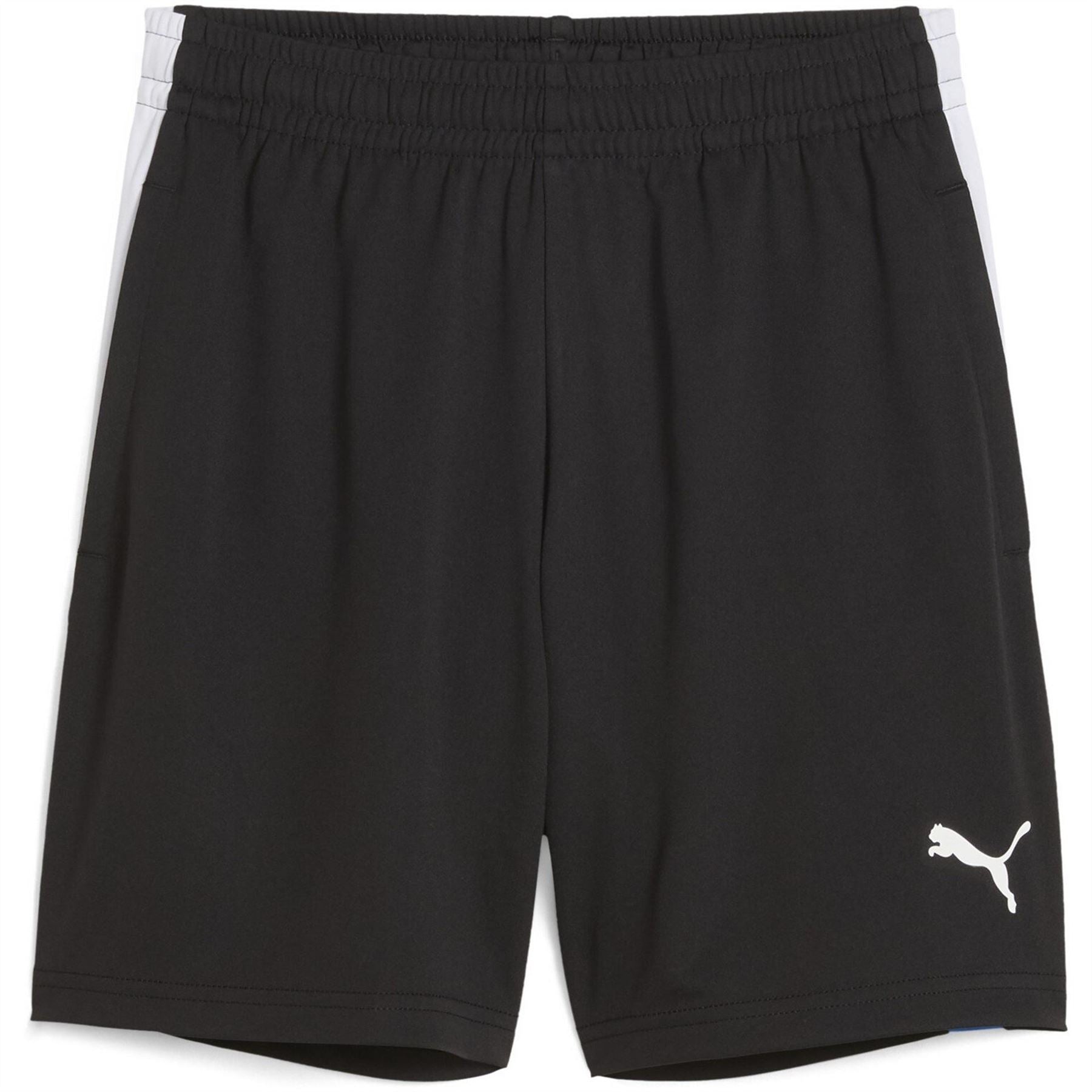 Puma Individualliga Training Football Shorts
