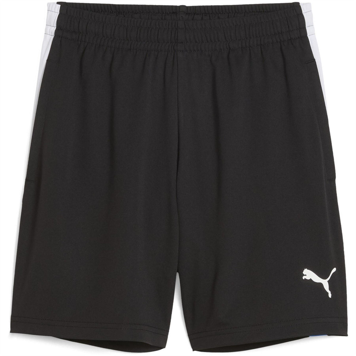 Puma Individualliga Training Football Shorts