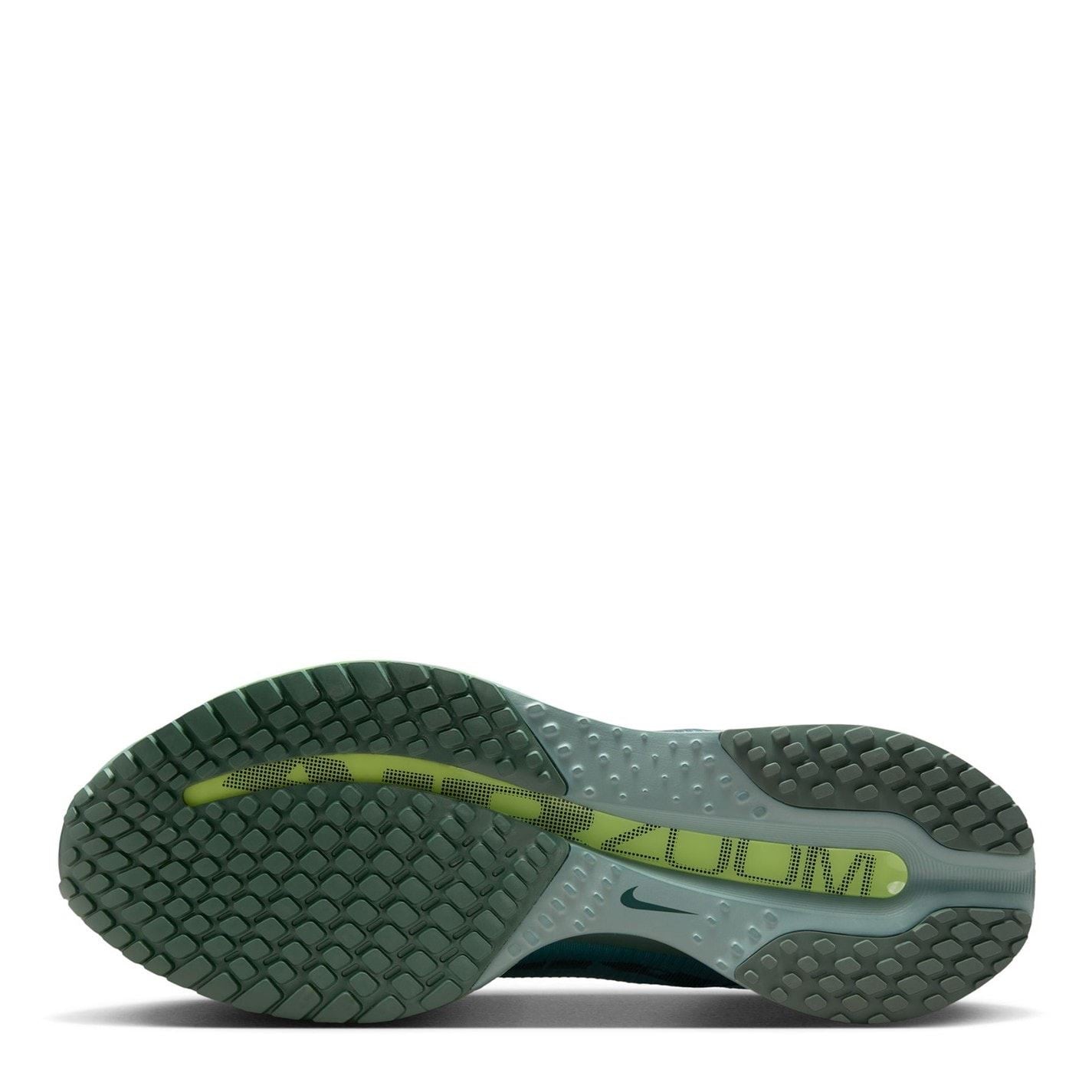 Nike Mens Pegasus Premium Running Shoes