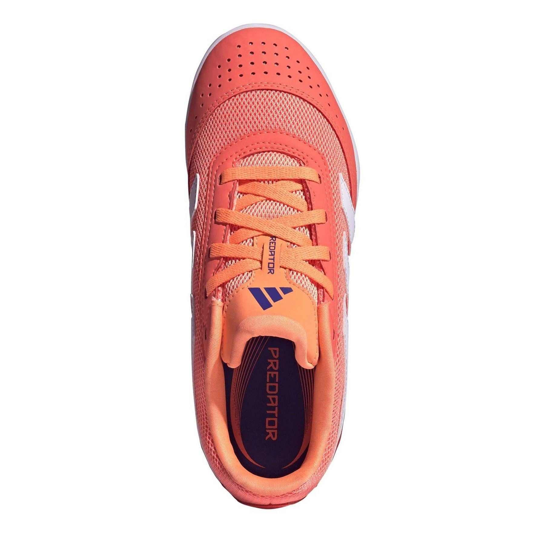 adidas Predator Club In Sala Indoor Football Boot
