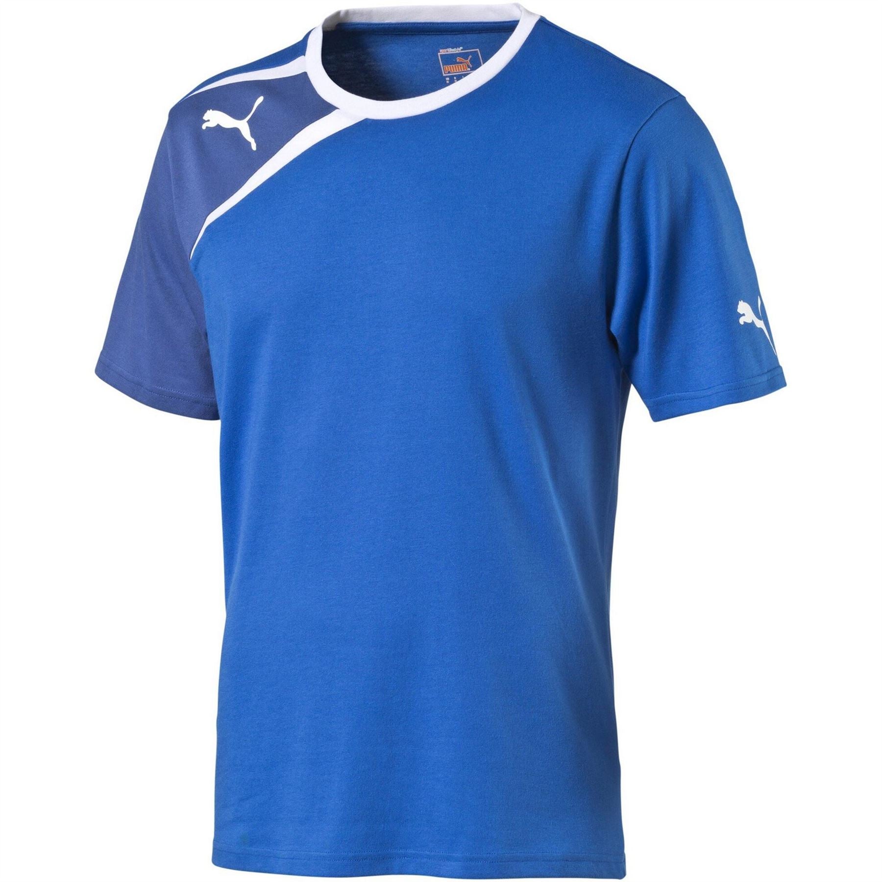 Puma Spirit Tee Royal Delft Juniors