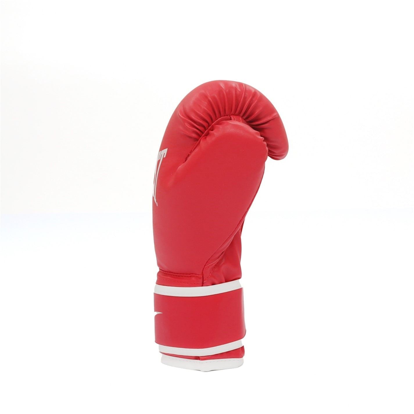 Everlast Core2 Boxing Glove