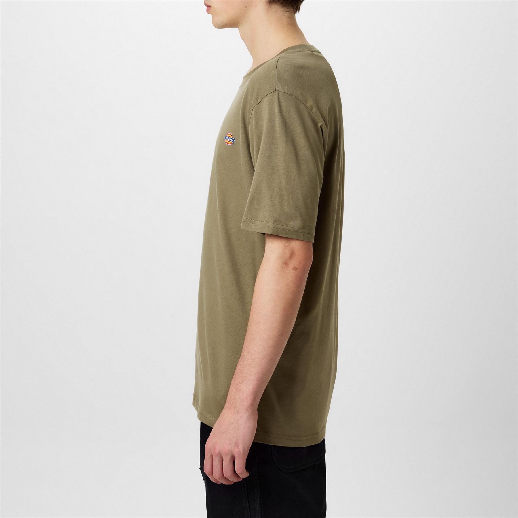 Dickies Regular Fit Mapleton T-Shirt