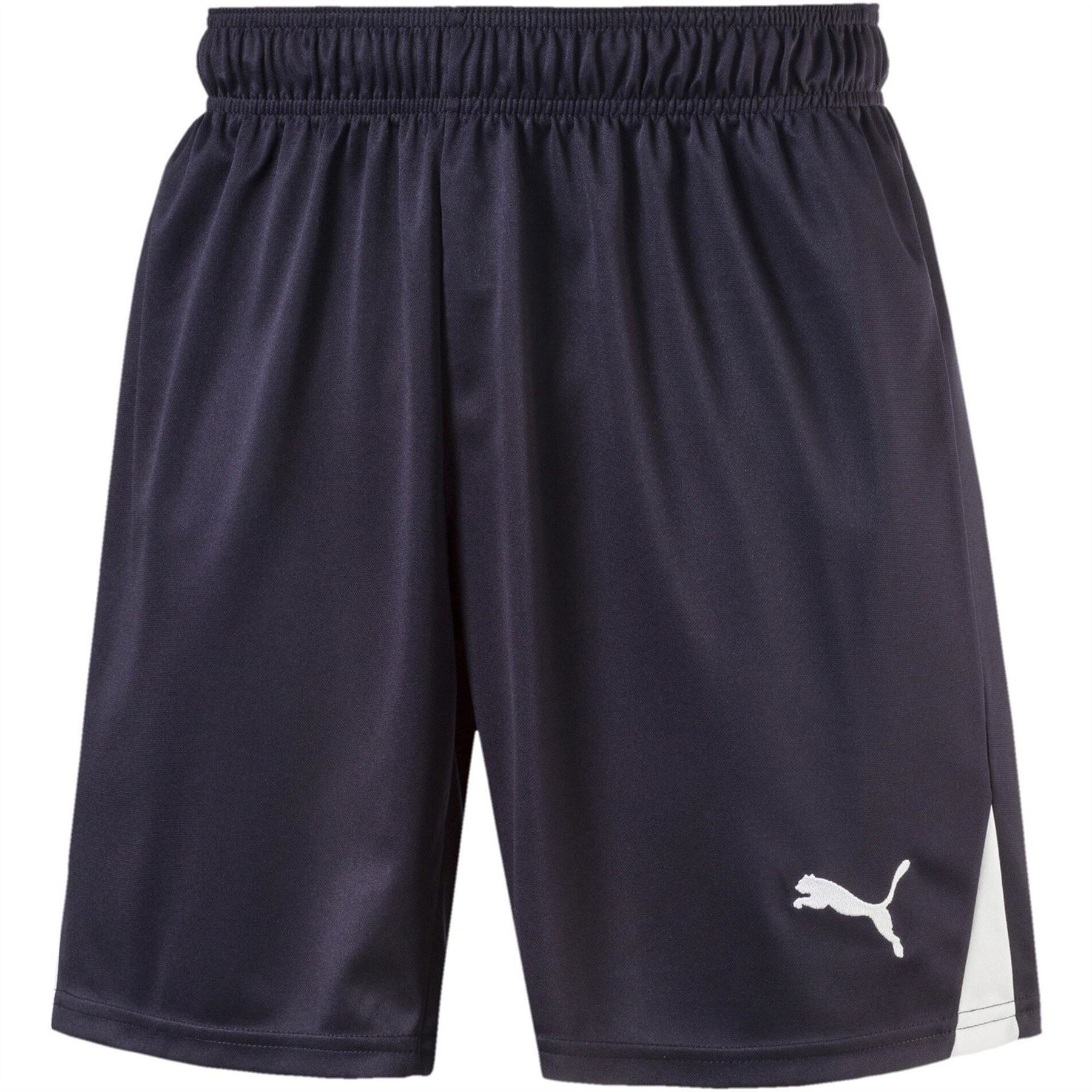 Puma (fb) Boy Team Shorts W O Inn Juniors