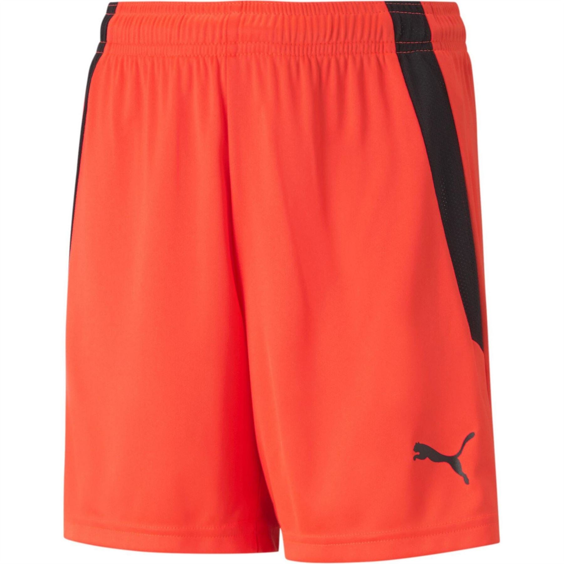 Puma Teamliga Shorts Jr Football Short Unisex Kids