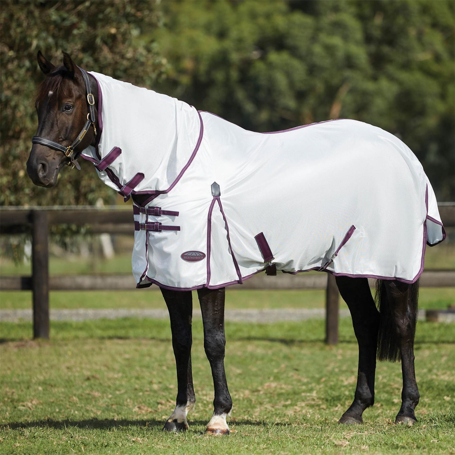 Weatherbeeta Essential Mesh Ii Combo Neck Fly Rug