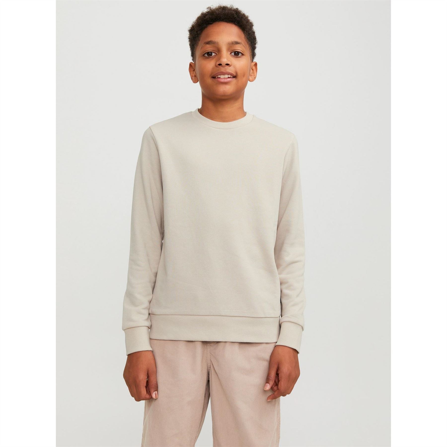 Jack and Jones Crew Neck Regular Fit Long Sleeve Sweater