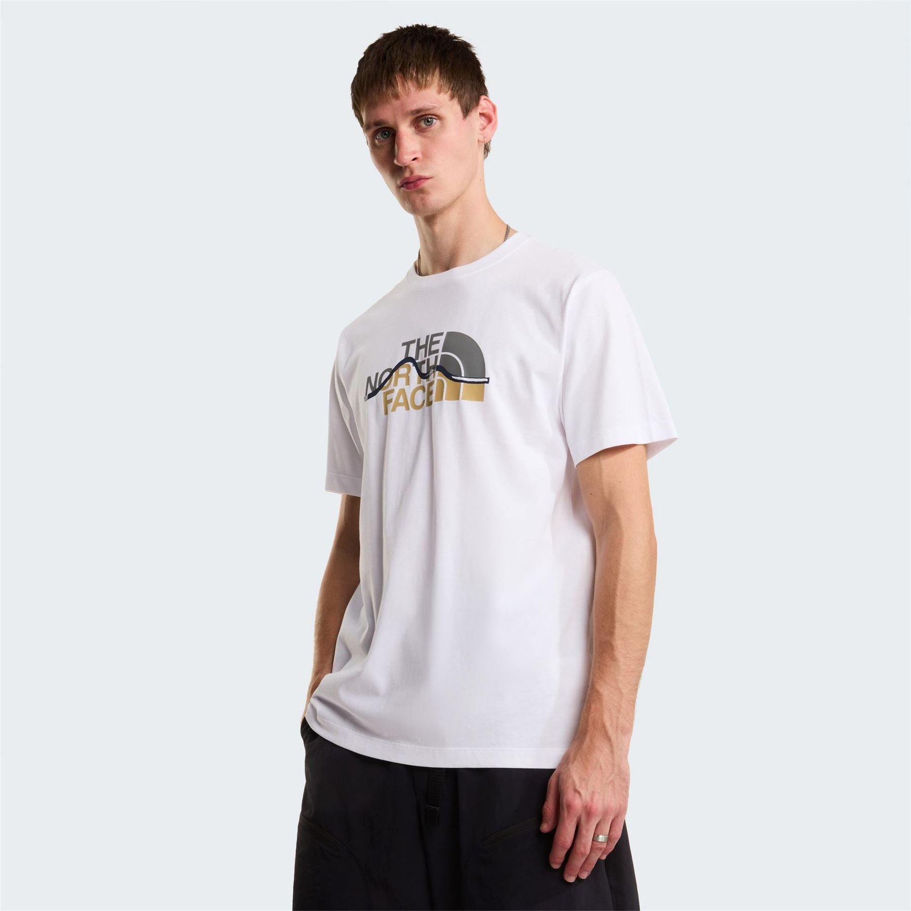 The North Face Mens Mountain Tee