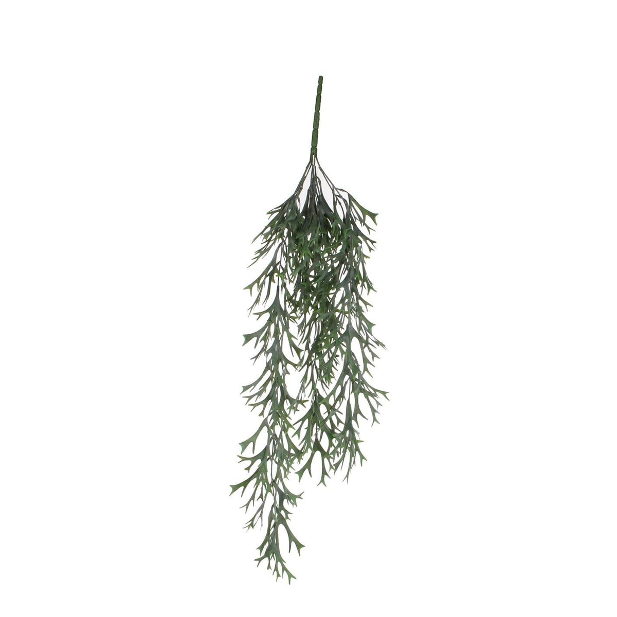 Mica Citronella Hanging Green