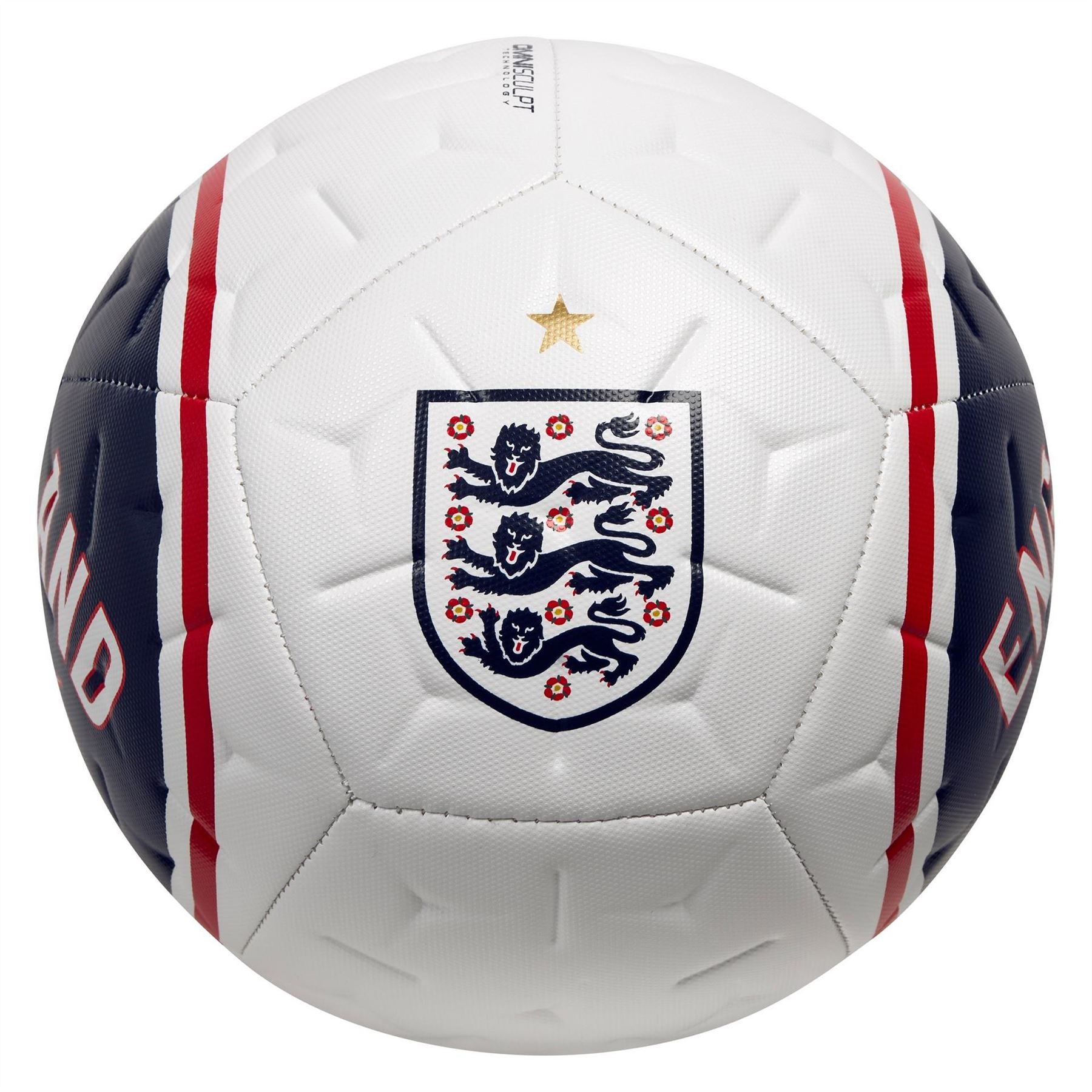 Nike Footballs