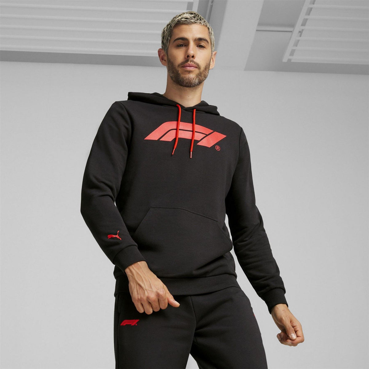 Puma F1 Ess Logo Cotton Over The Head Hoodie