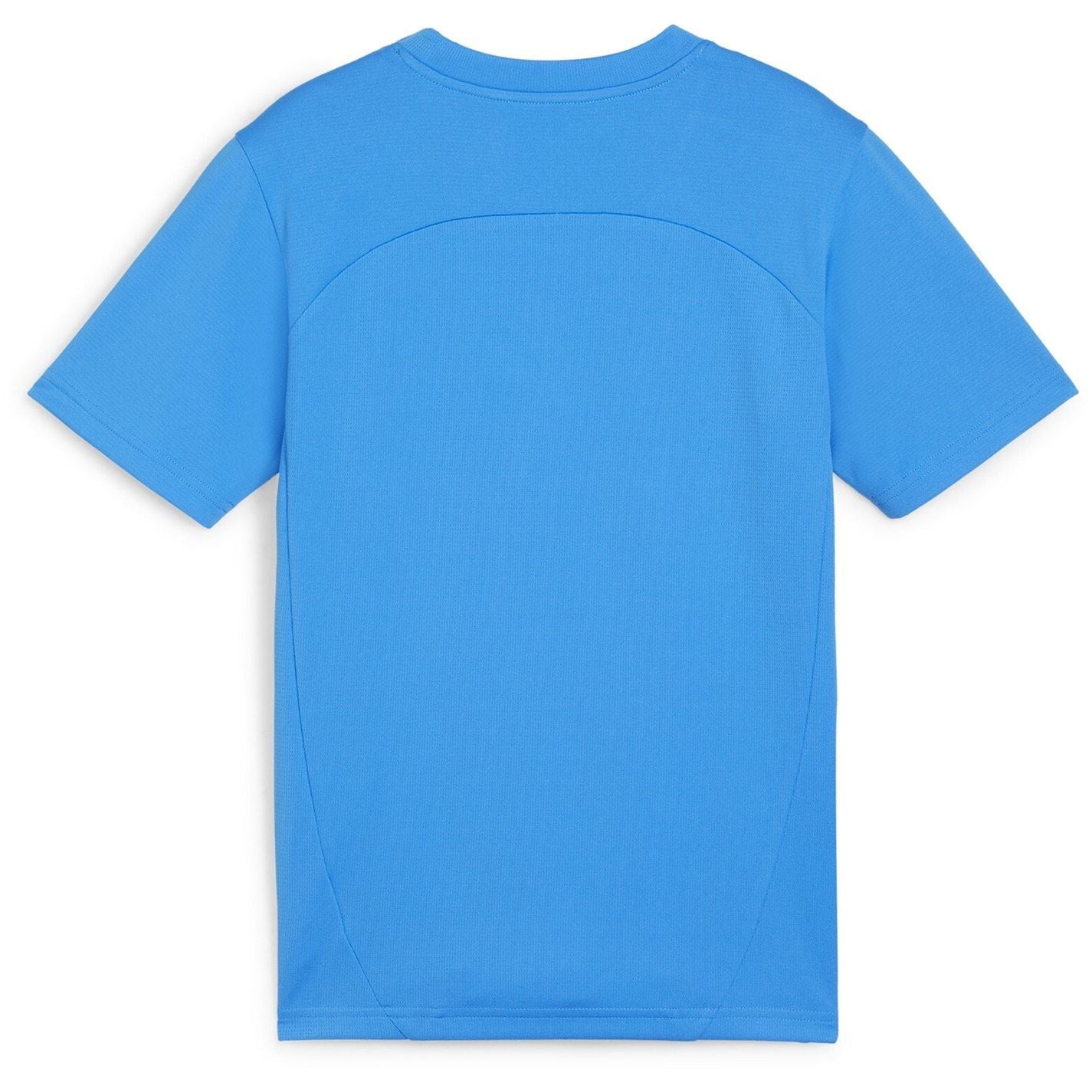 Puma Teamfinal Training Short Sleeve Performance T-Shirt