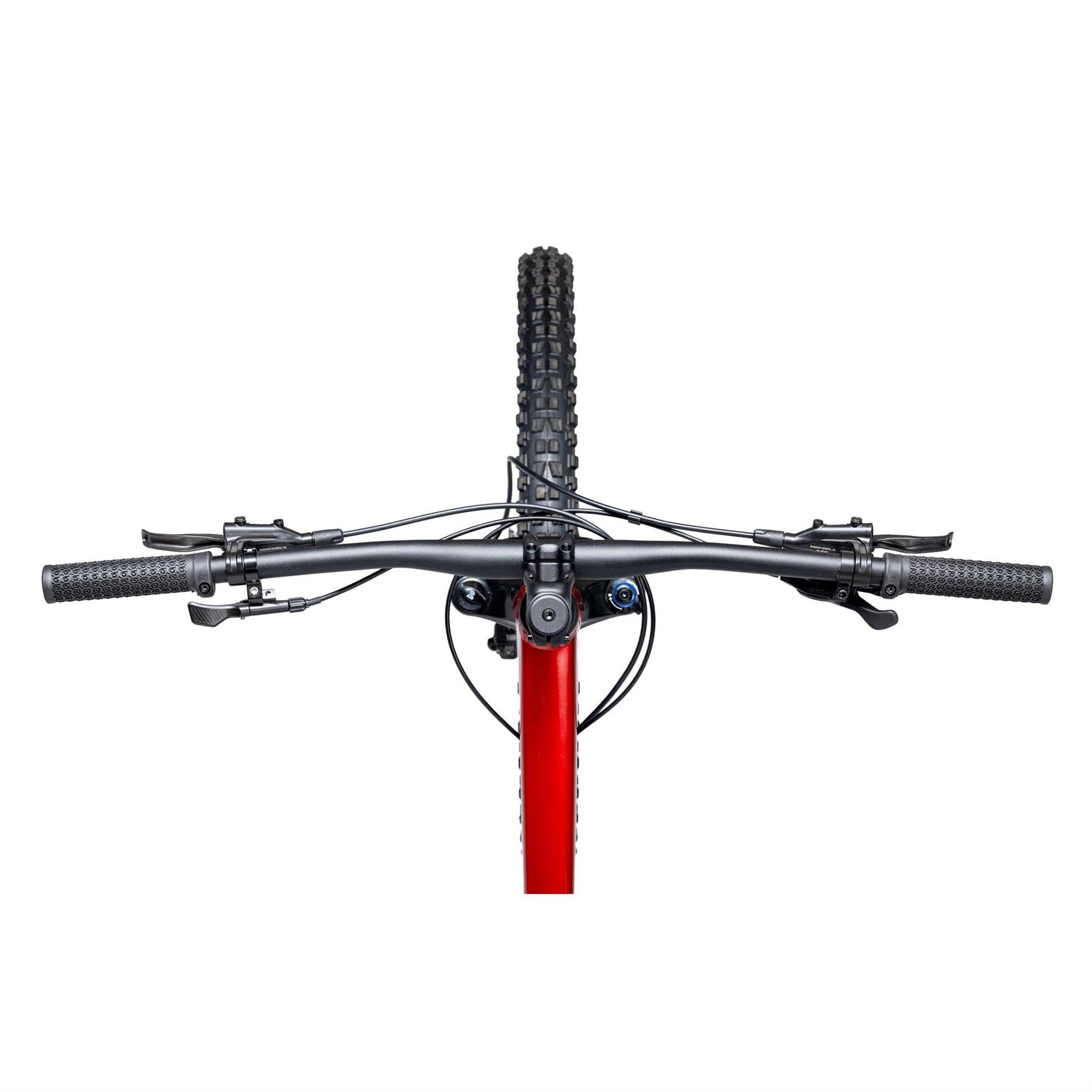 Vitus 2026 Mountain Bike