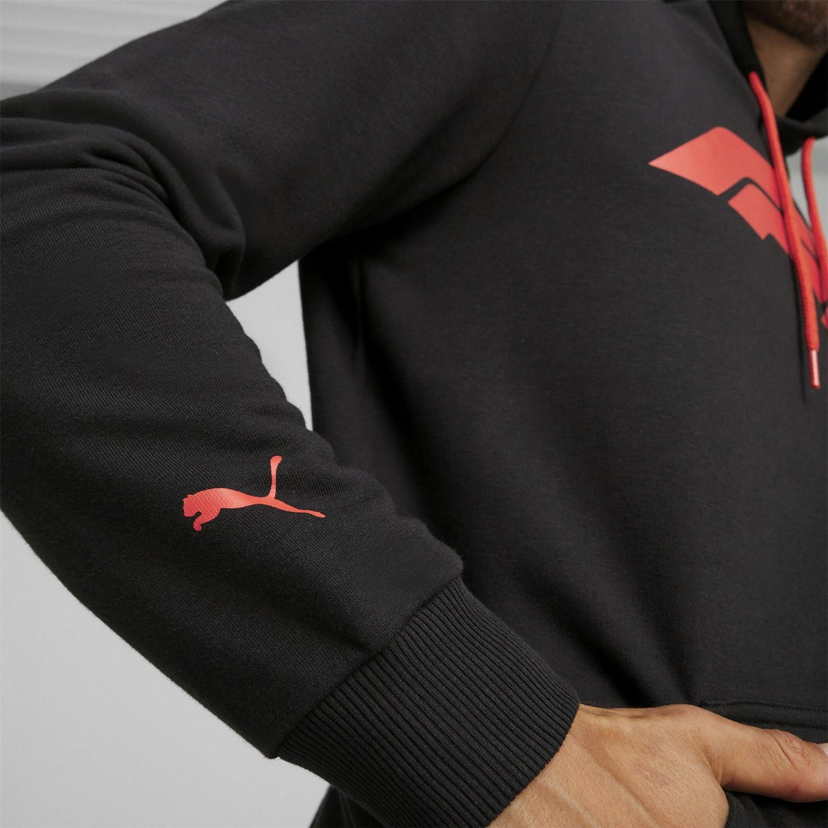 Puma F1 Ess Logo Cotton Over The Head Hoodie