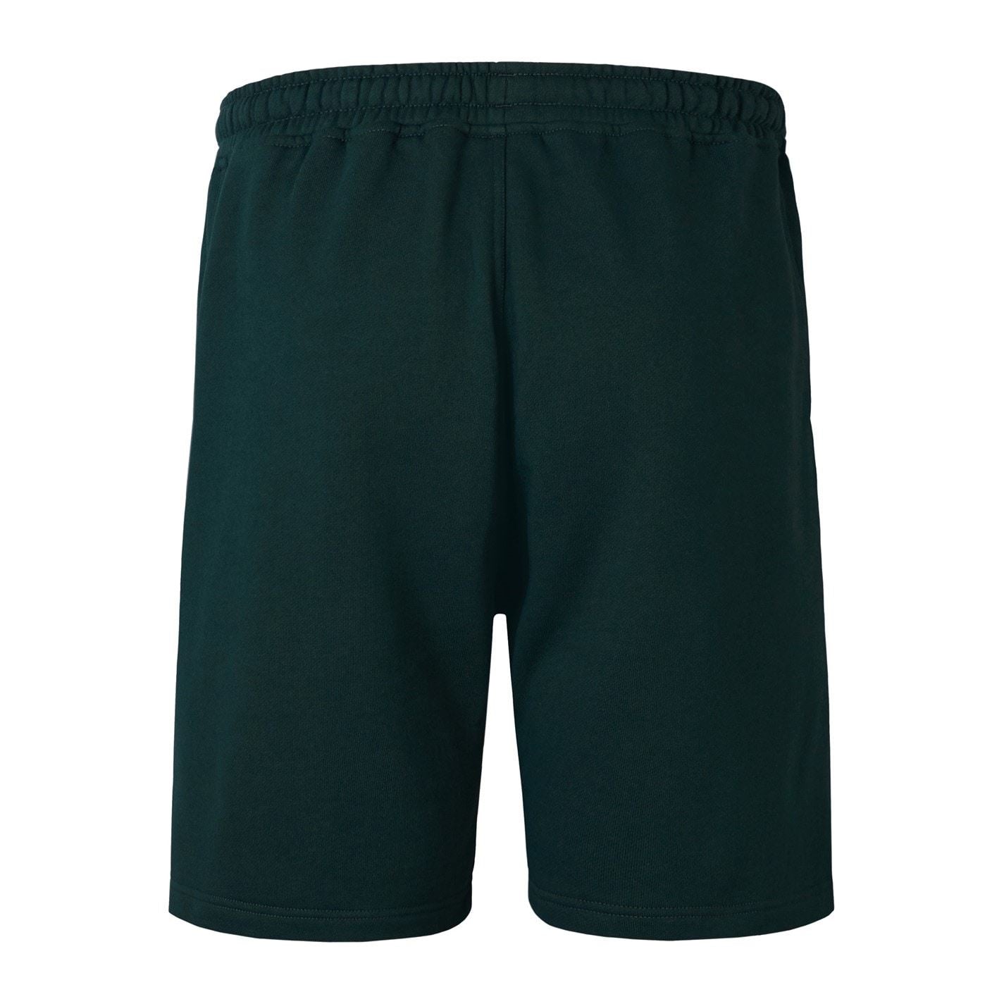 Canterbury Mens British  And  Irish Lions Stealth Shorts 2025