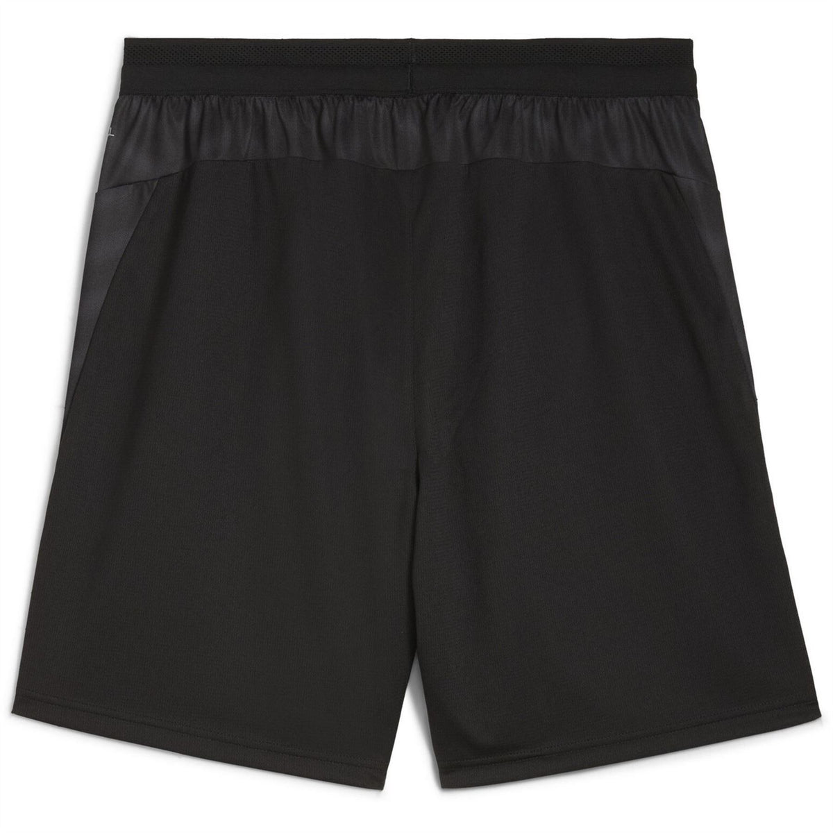Puma Individual Cup Football Shorts Mens