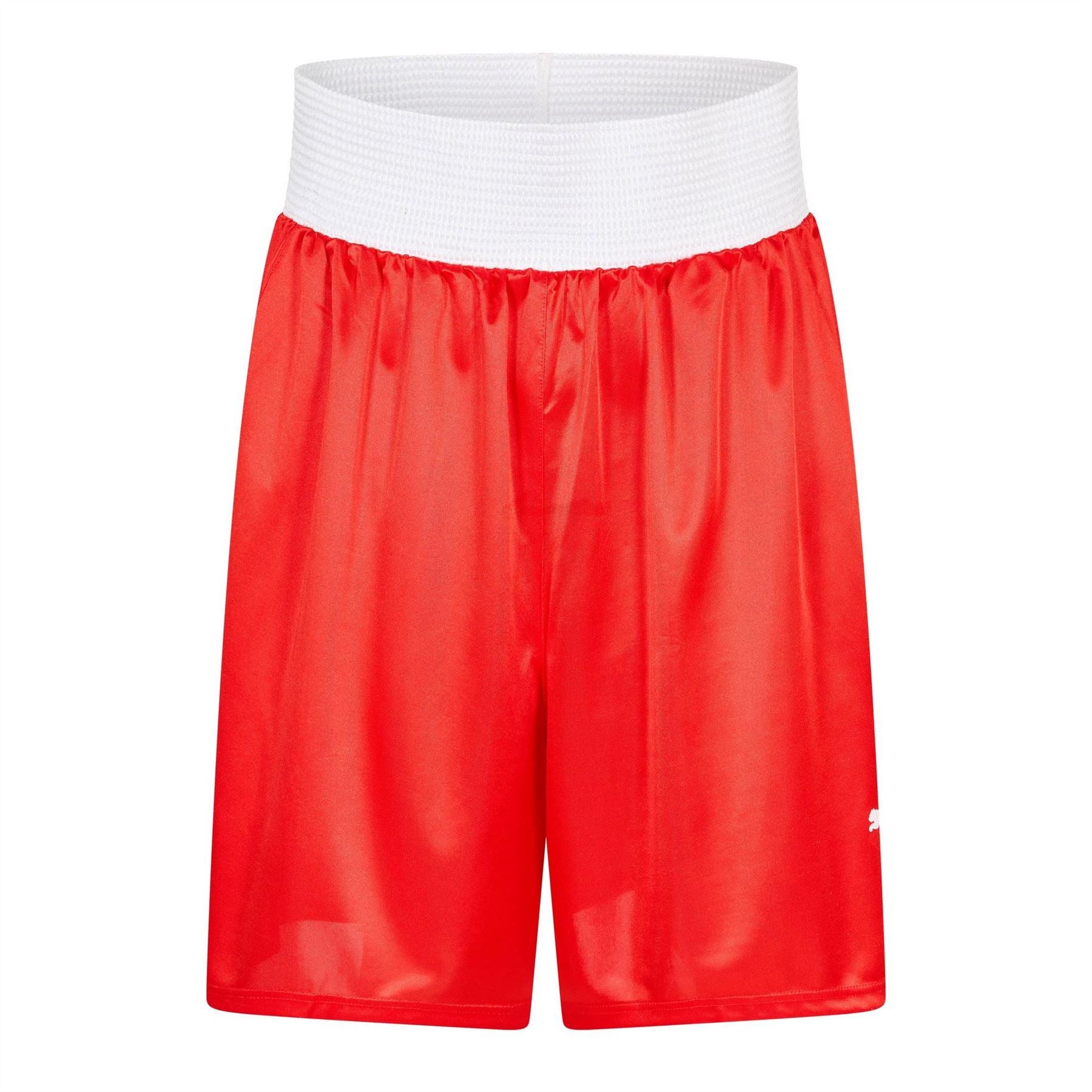 Puma Mens Boxing Training Shorts