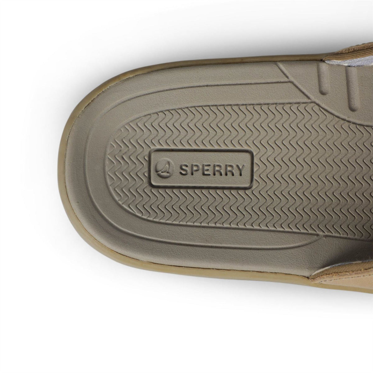 SPERRY Baitfish Thong Sandal